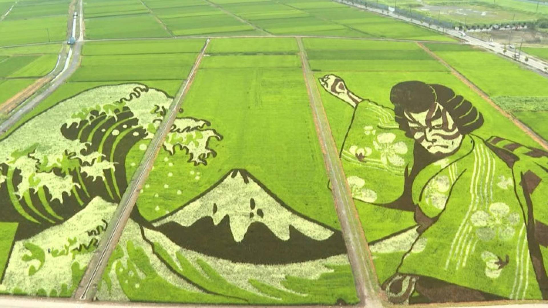 Image 1 from gallery