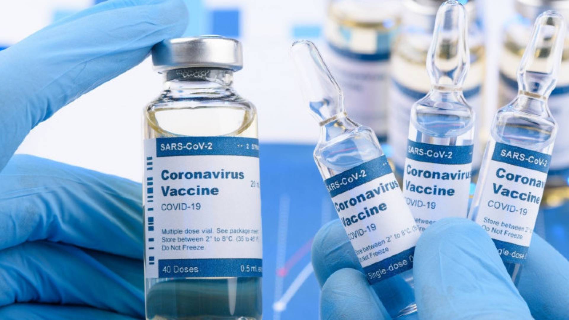 Image 1 from gallery