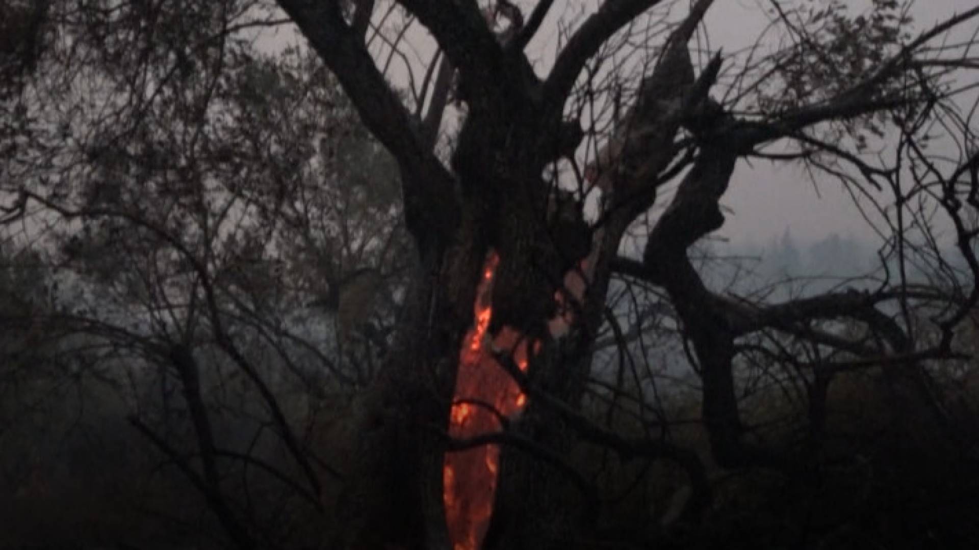 Image 1 from gallery