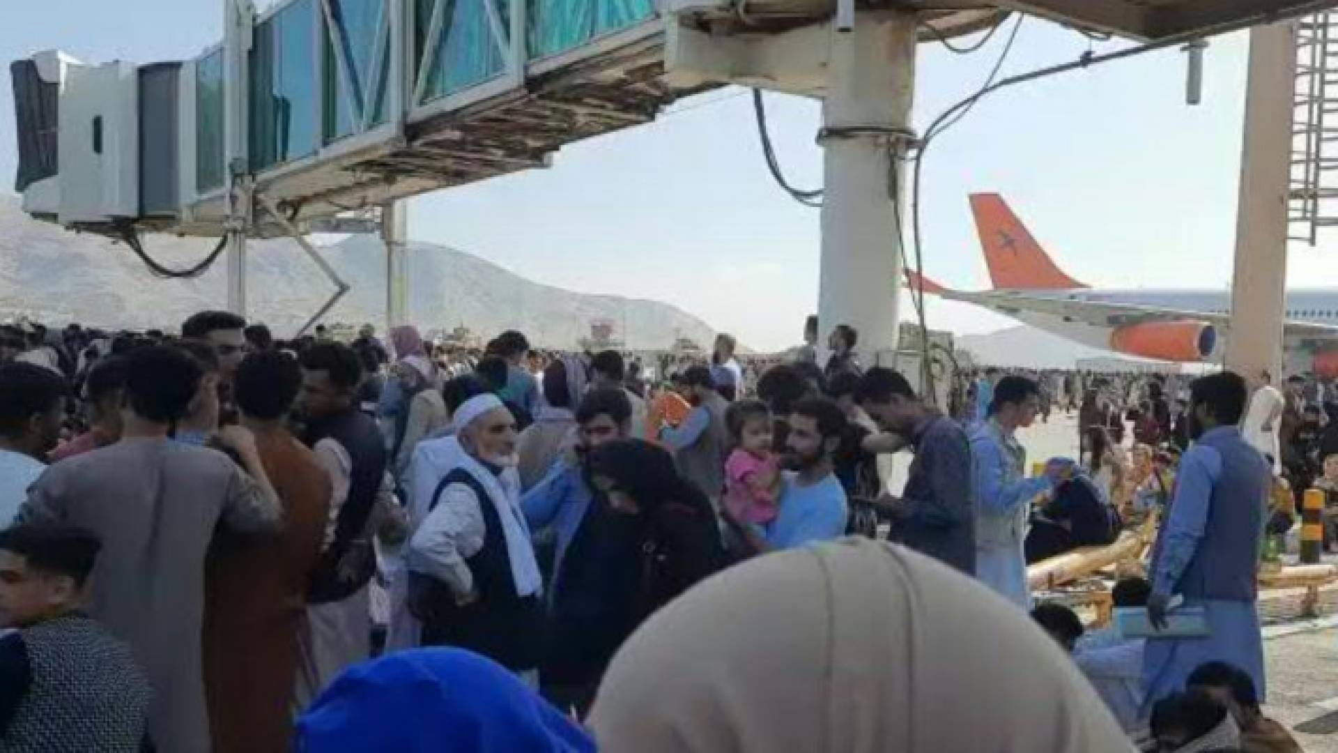 Image 1 from gallery