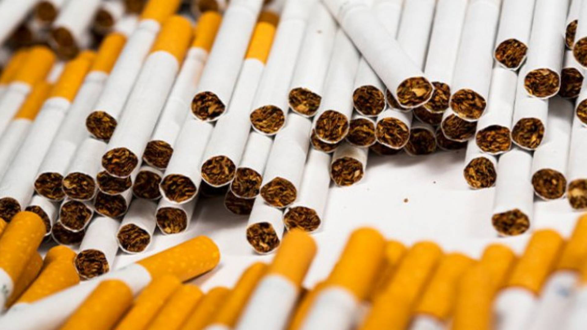 Image 1 from gallery