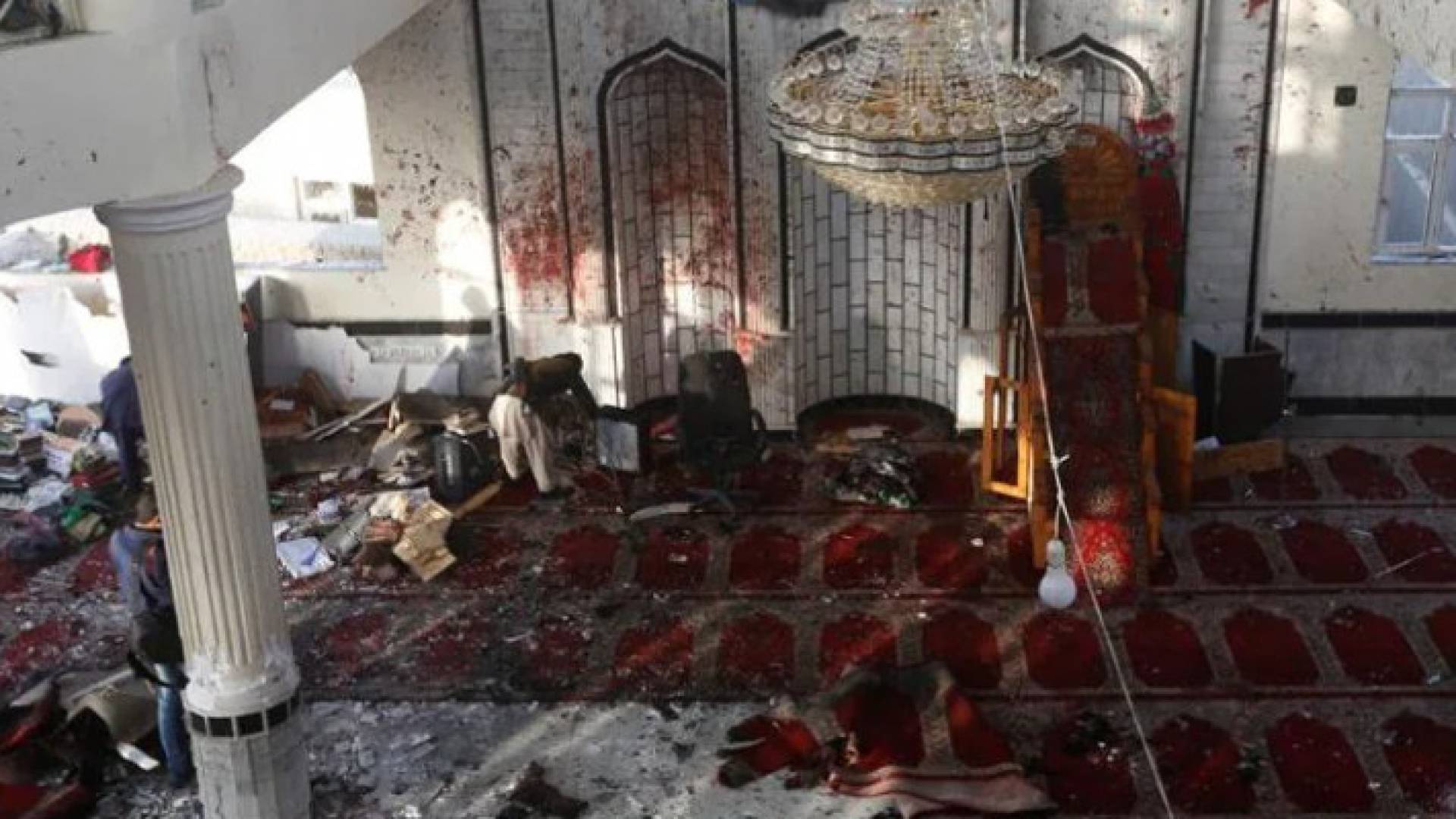 Image 1 from gallery