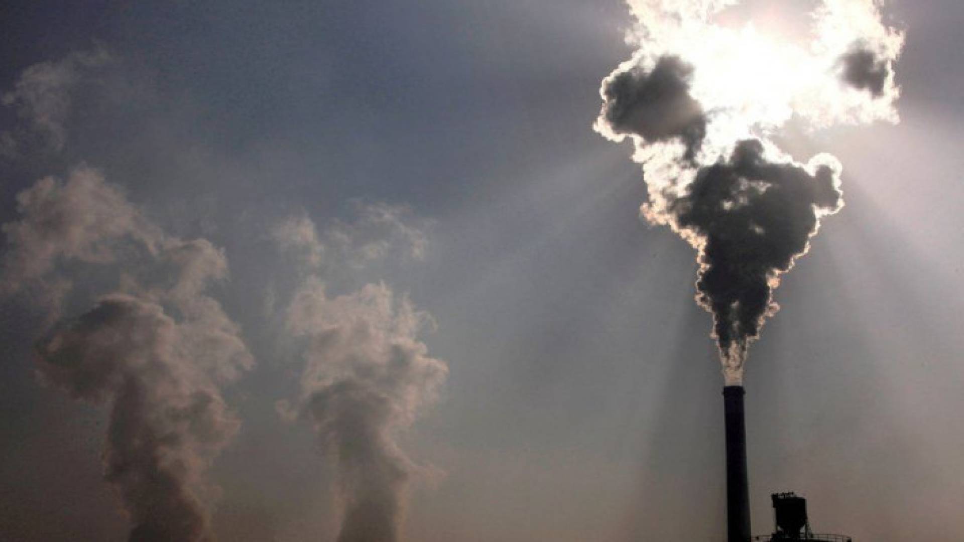 Image 1 from gallery