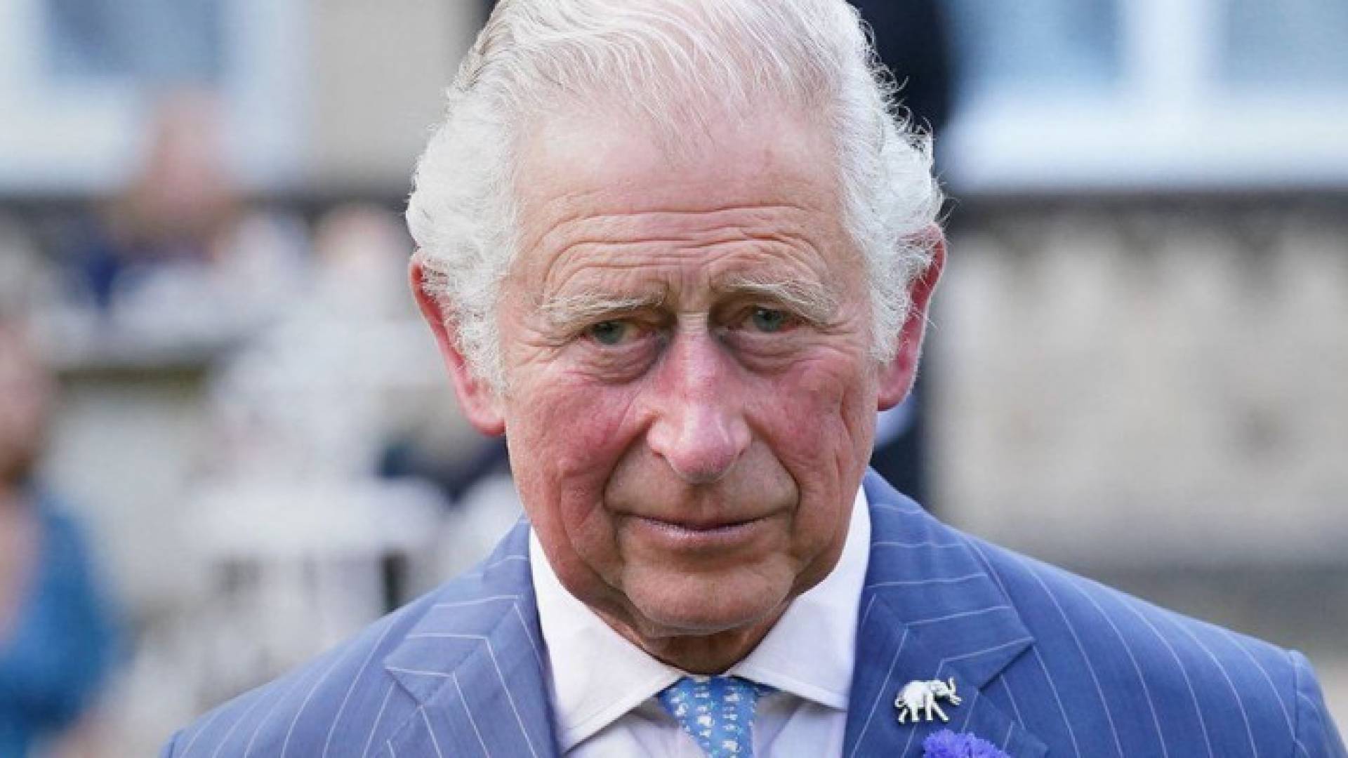 Image 1 from gallery