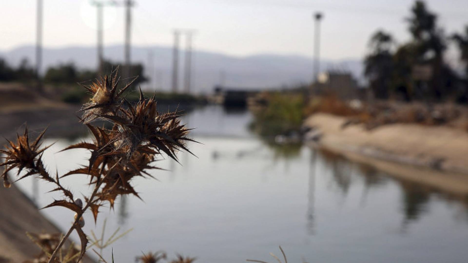 Image 1 from gallery