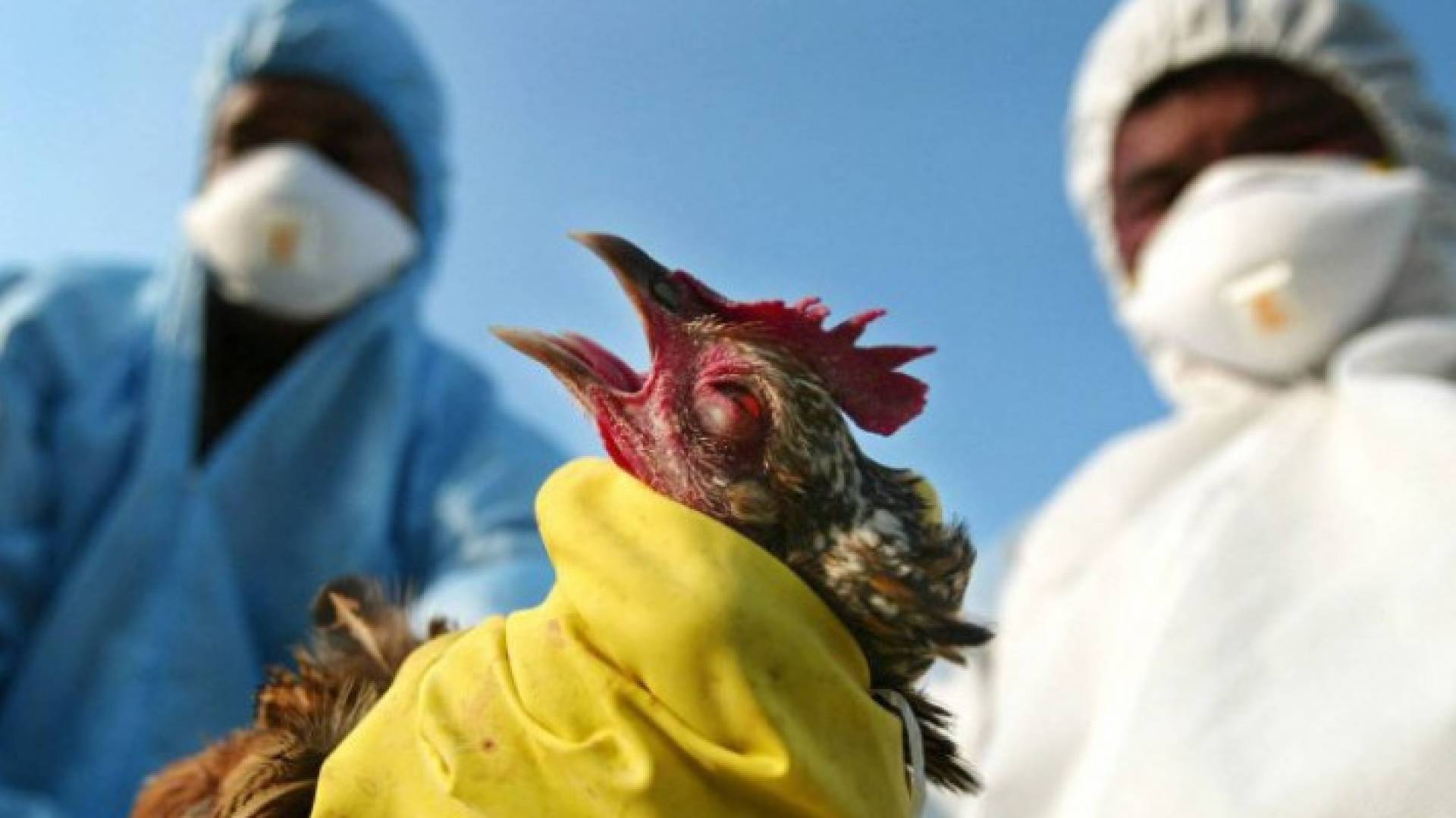 Image 1 from gallery