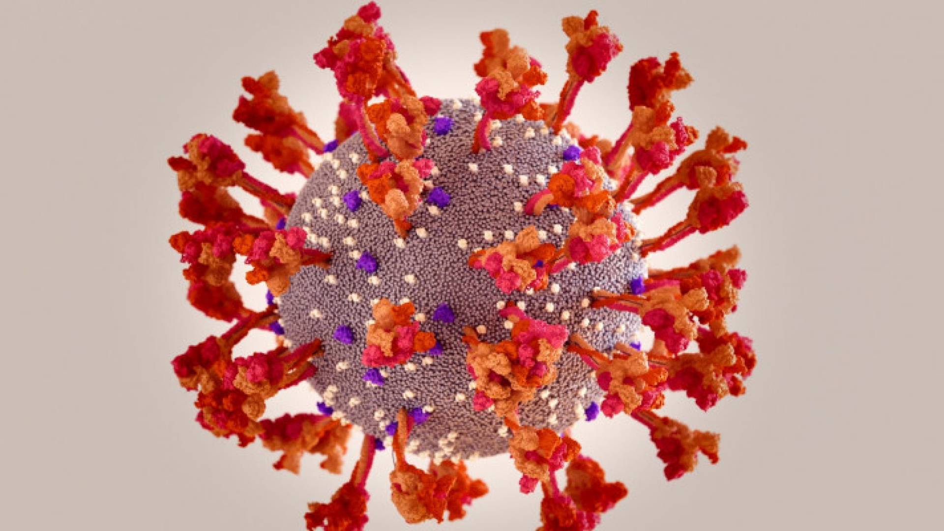 Image 1 from gallery