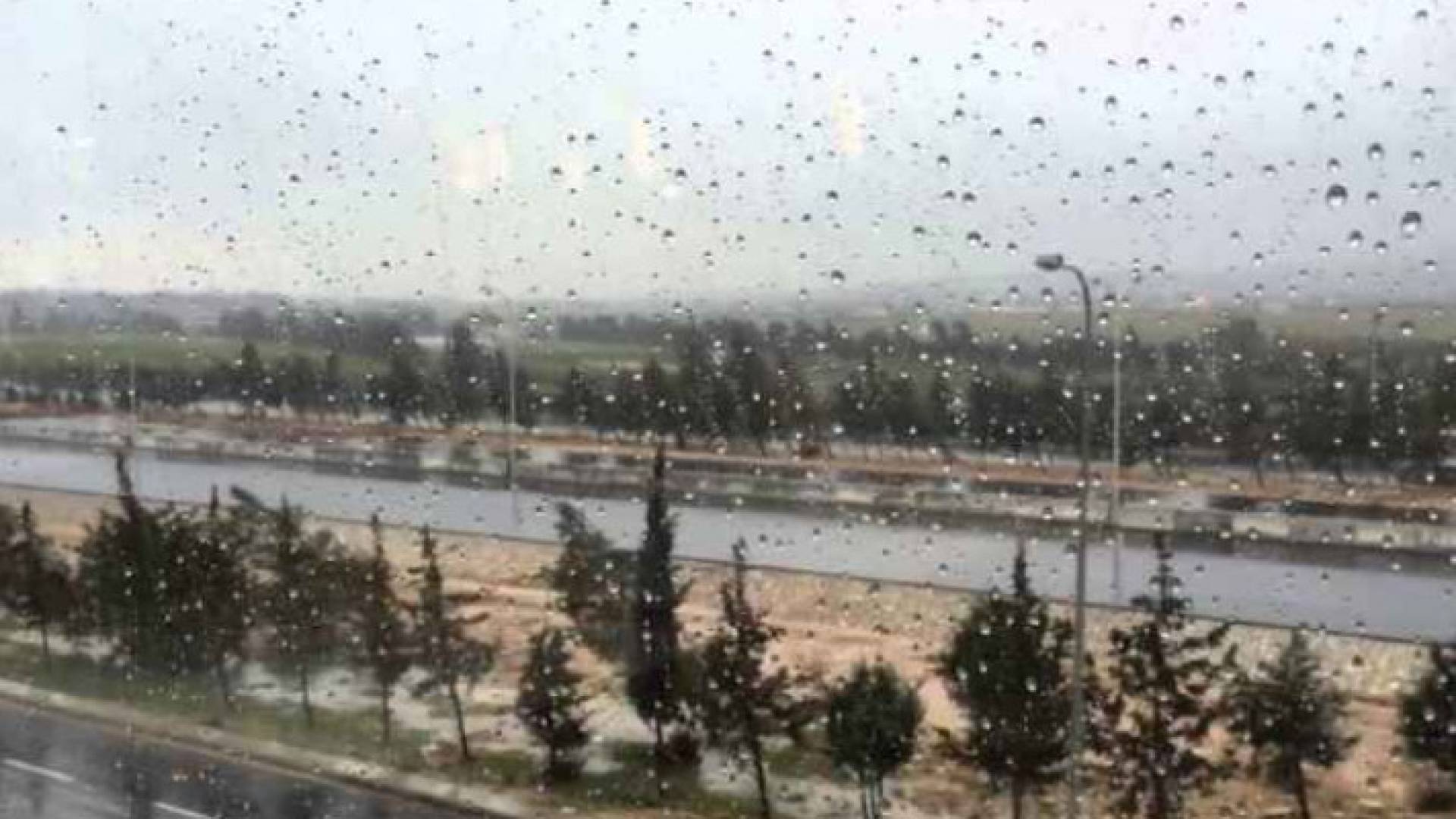 Image 1 from gallery