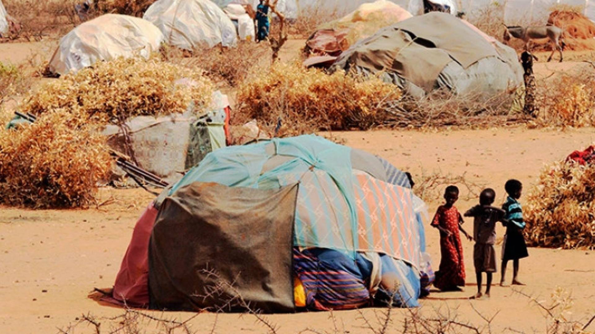 Image 1 from gallery