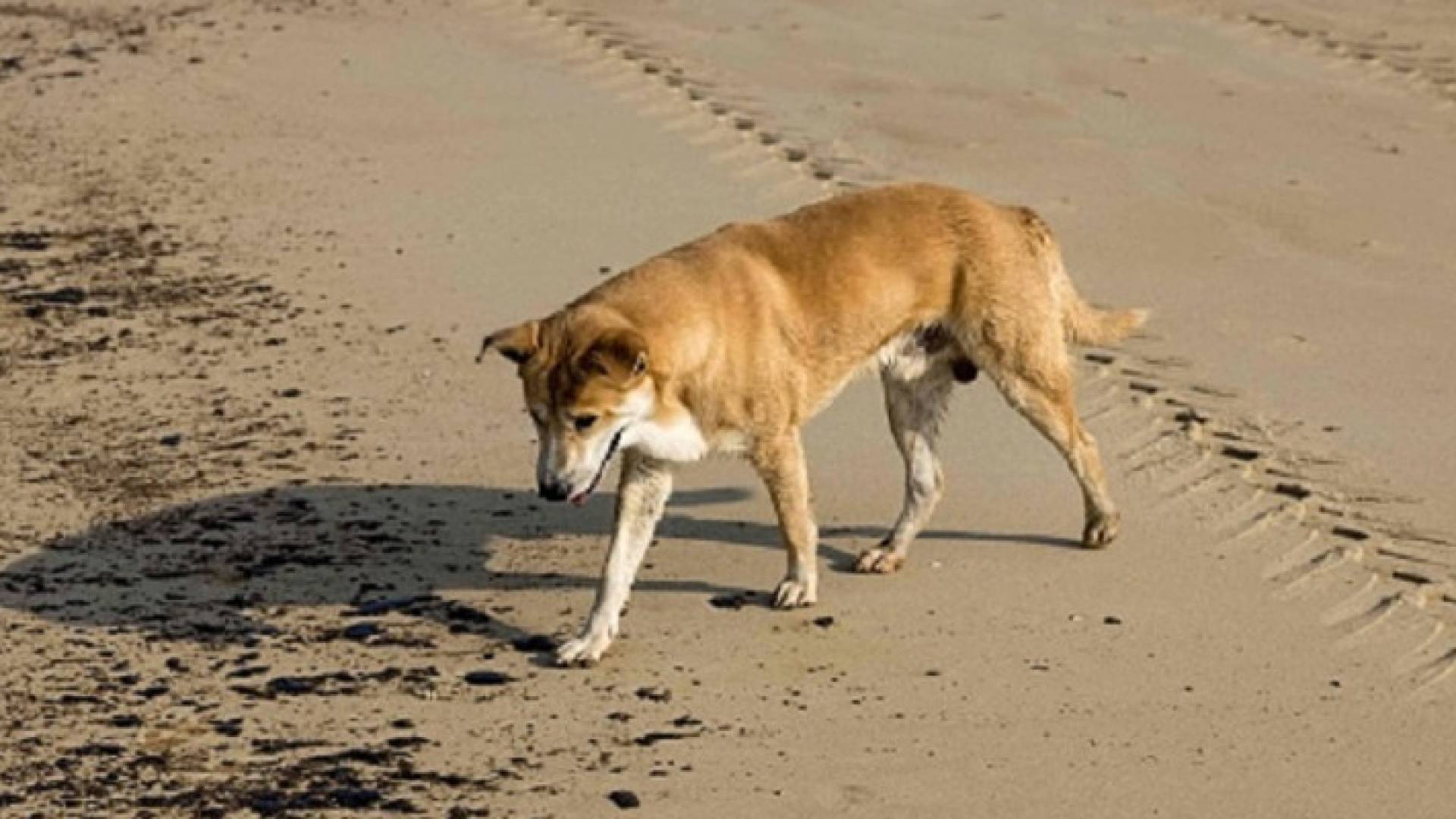 Image 1 from gallery