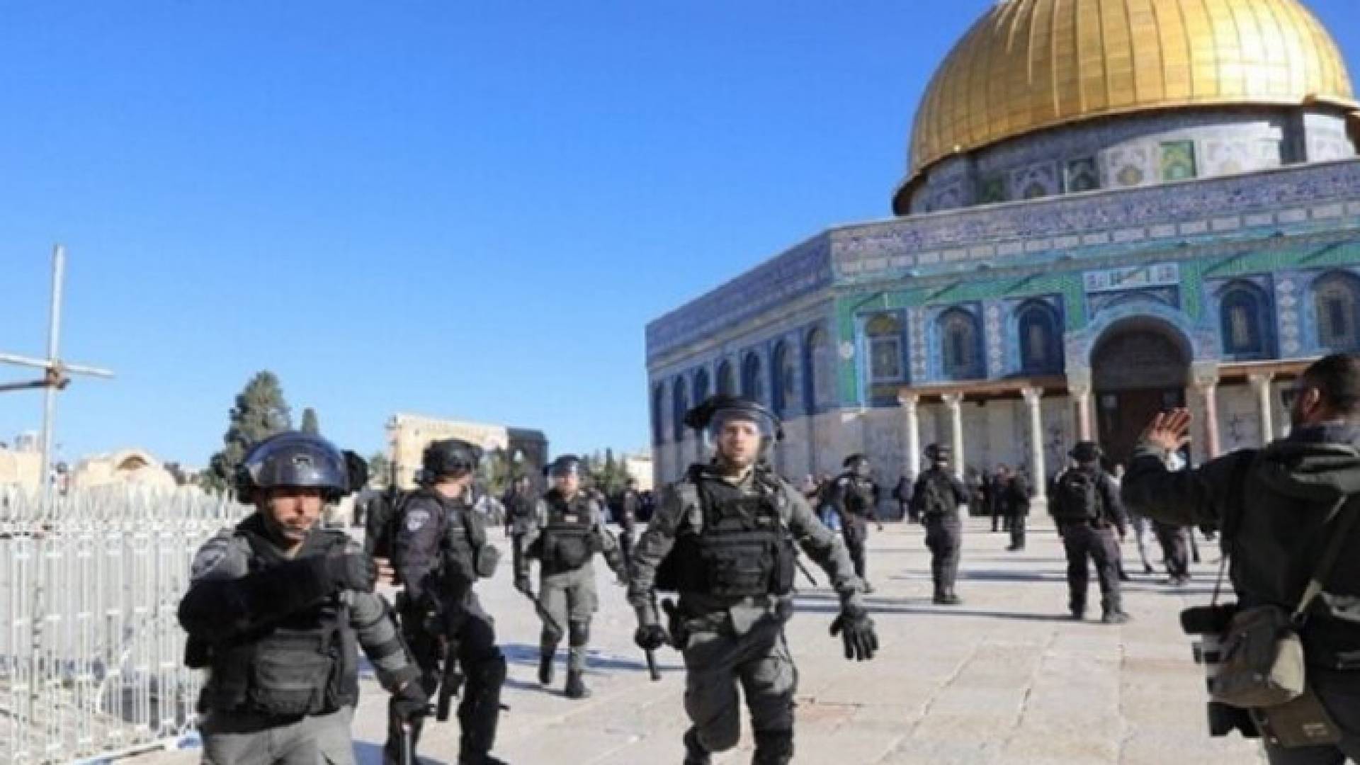 Image 1 from gallery