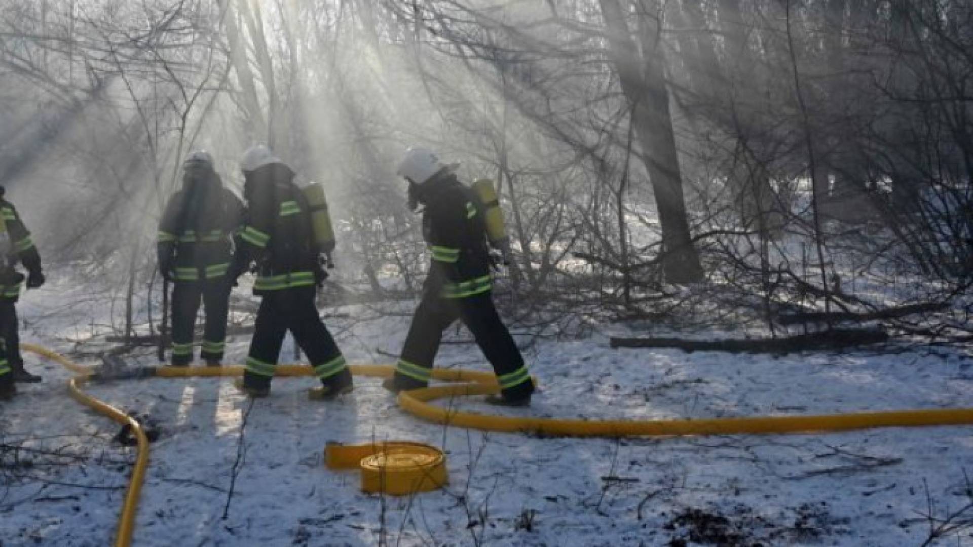 Image 1 from gallery