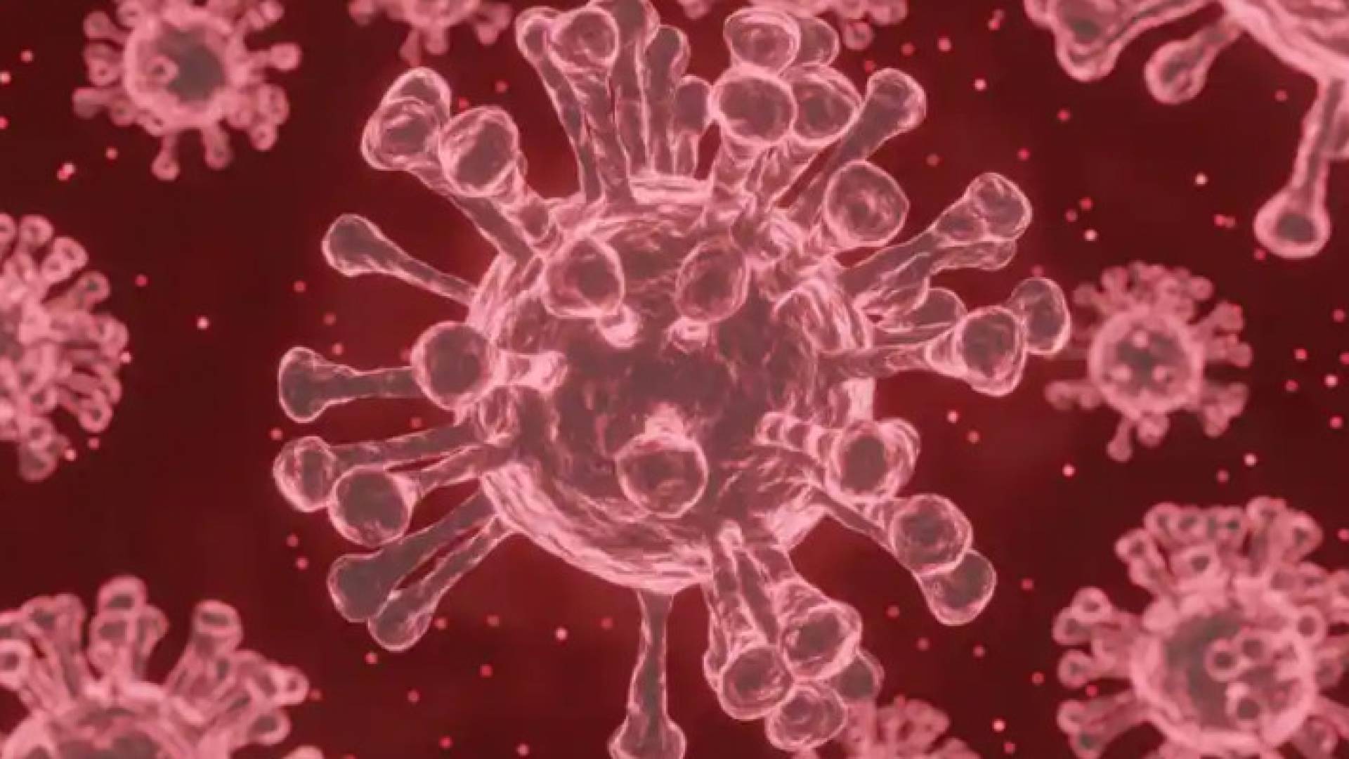 Image 1 from gallery