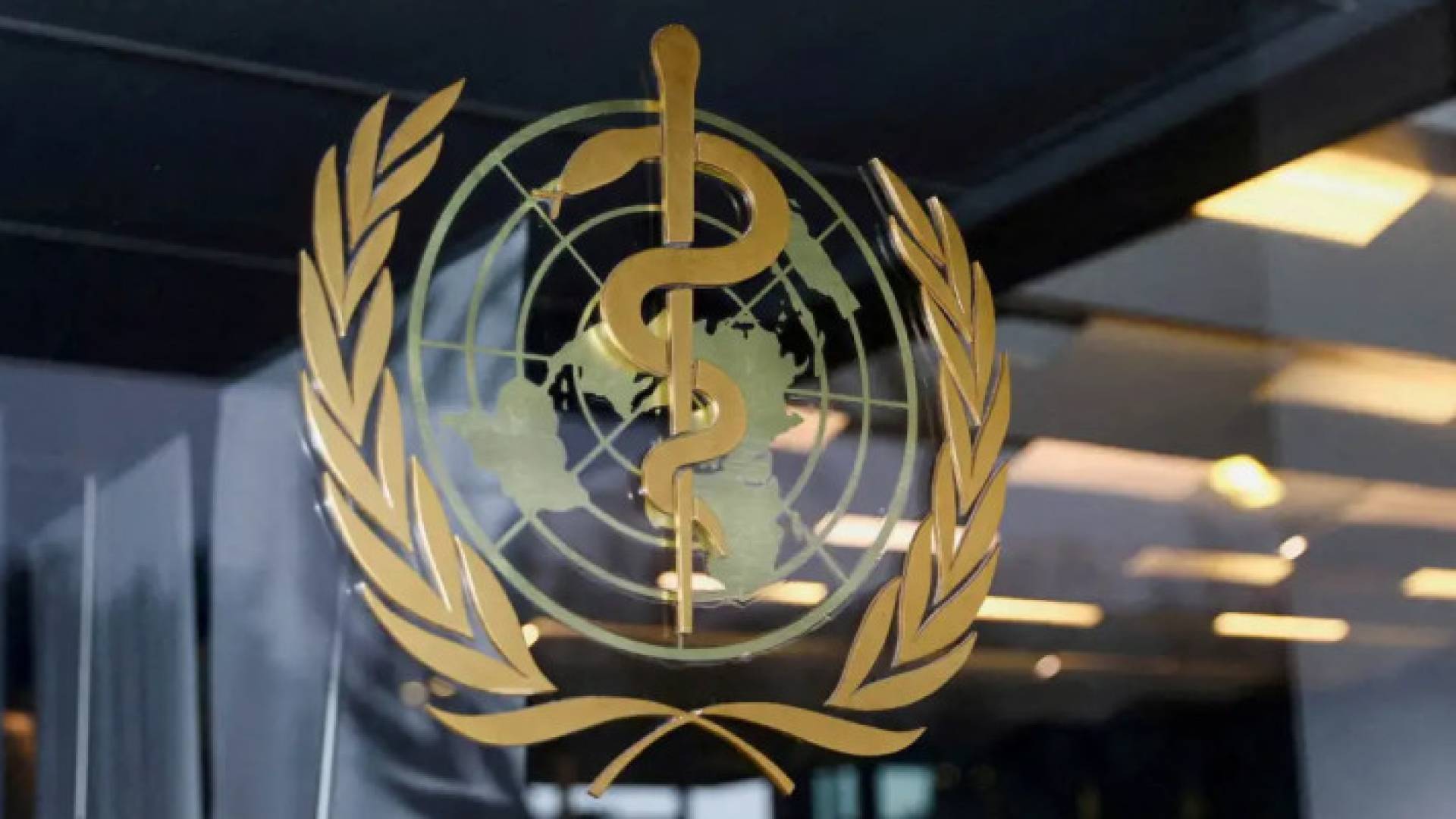 Image 1 from gallery