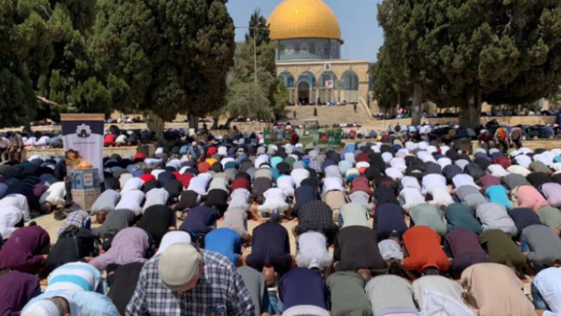 Image 1 from gallery