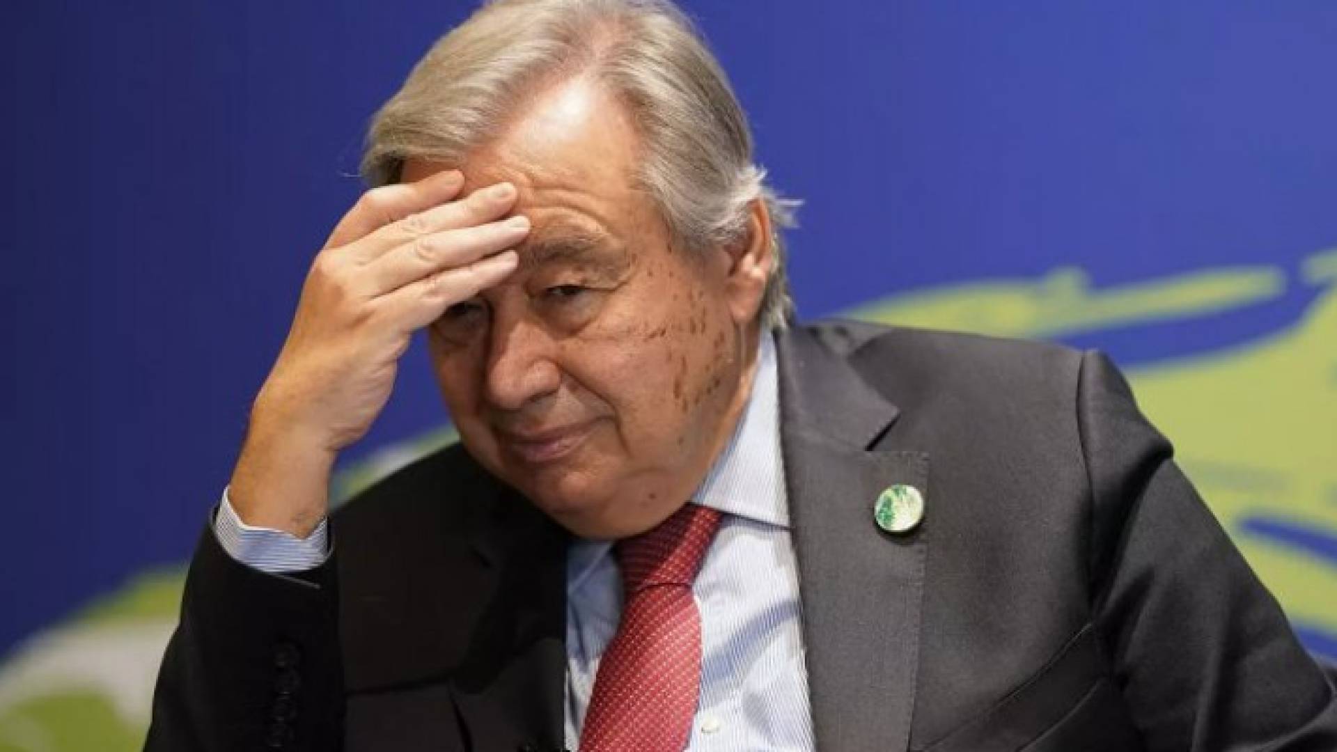 Image 1 from gallery