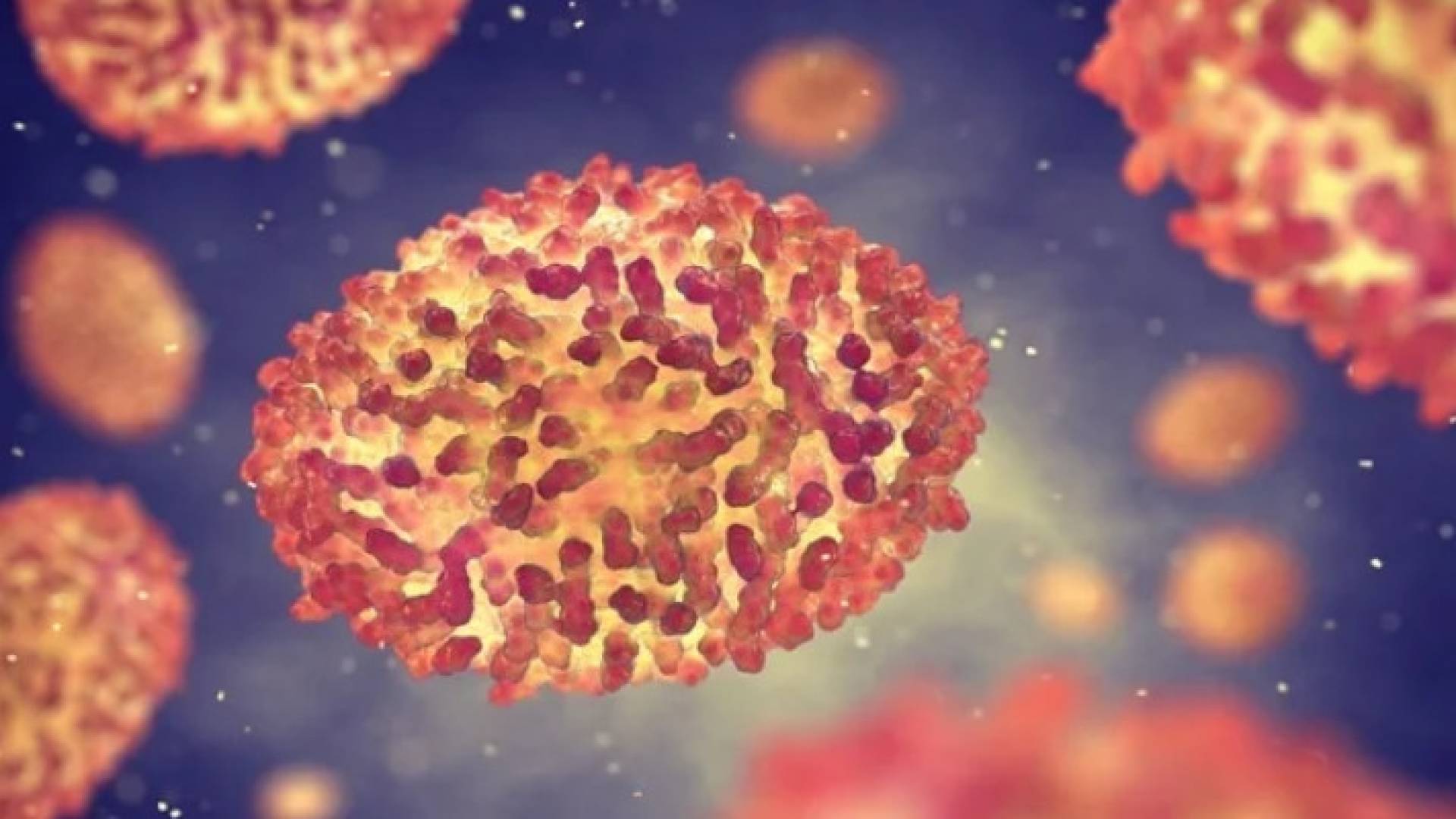 Image 1 from gallery