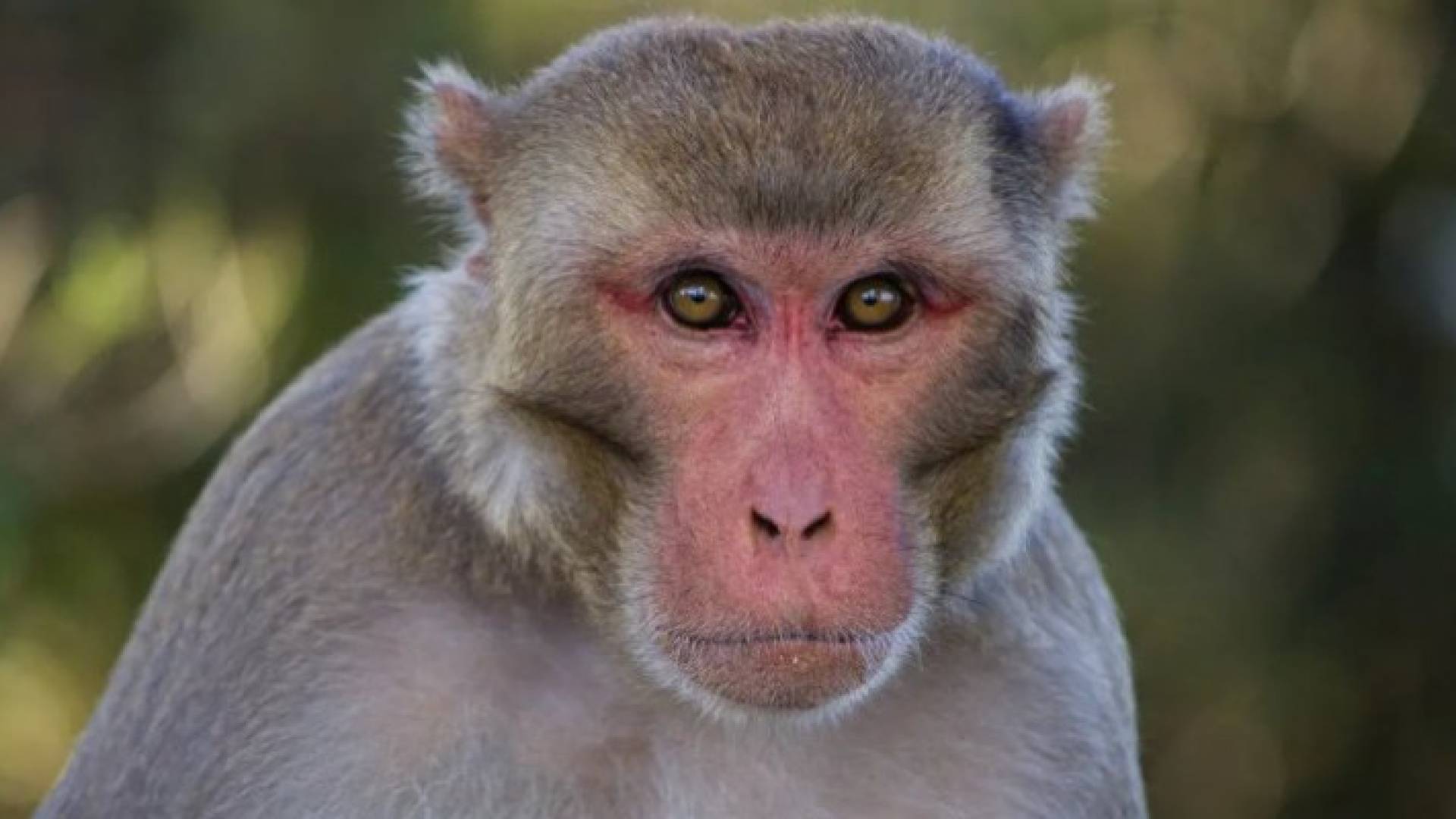 Image 1 from gallery