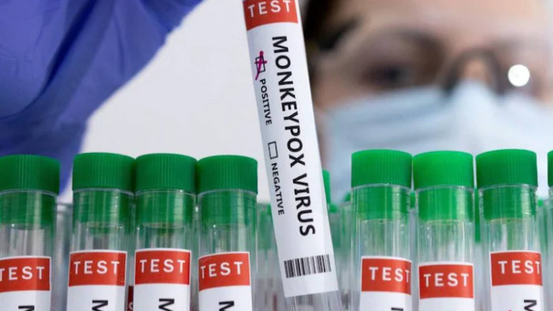 Image 1 from gallery