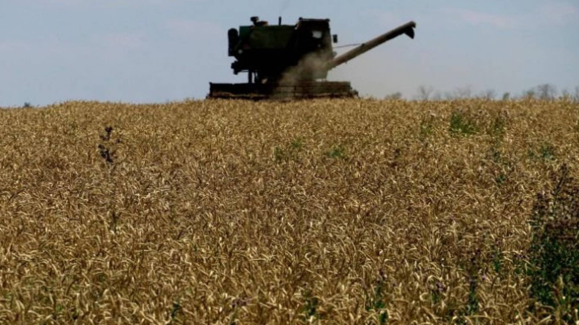 Image 1 from gallery