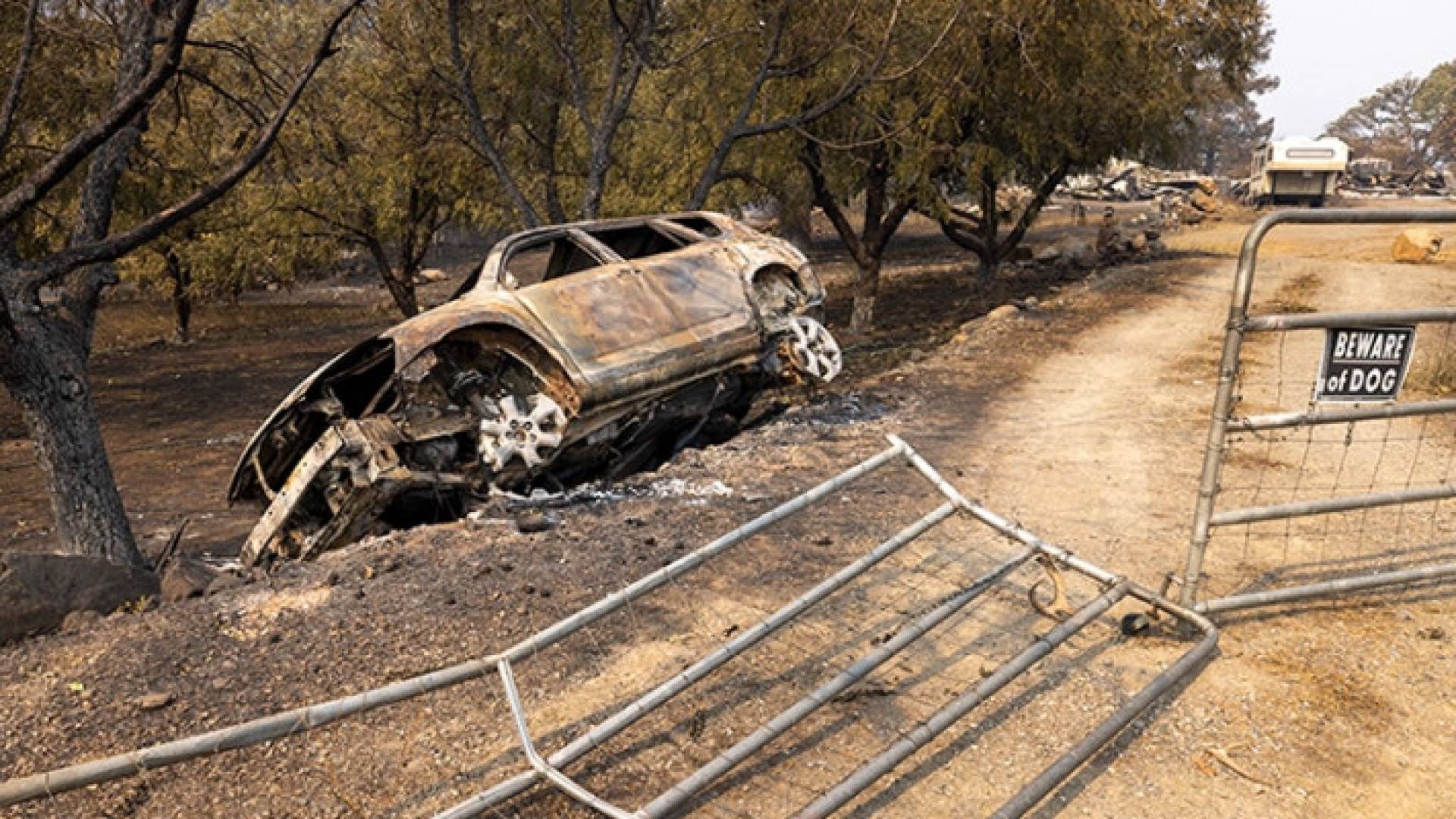 Image 1 from gallery