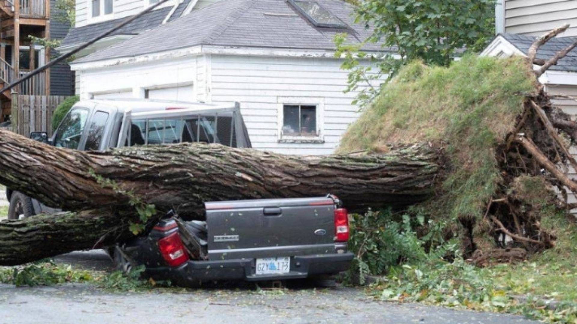 Image 1 from gallery