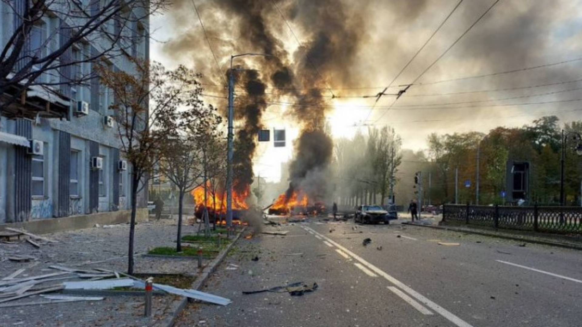 Image 1 from gallery