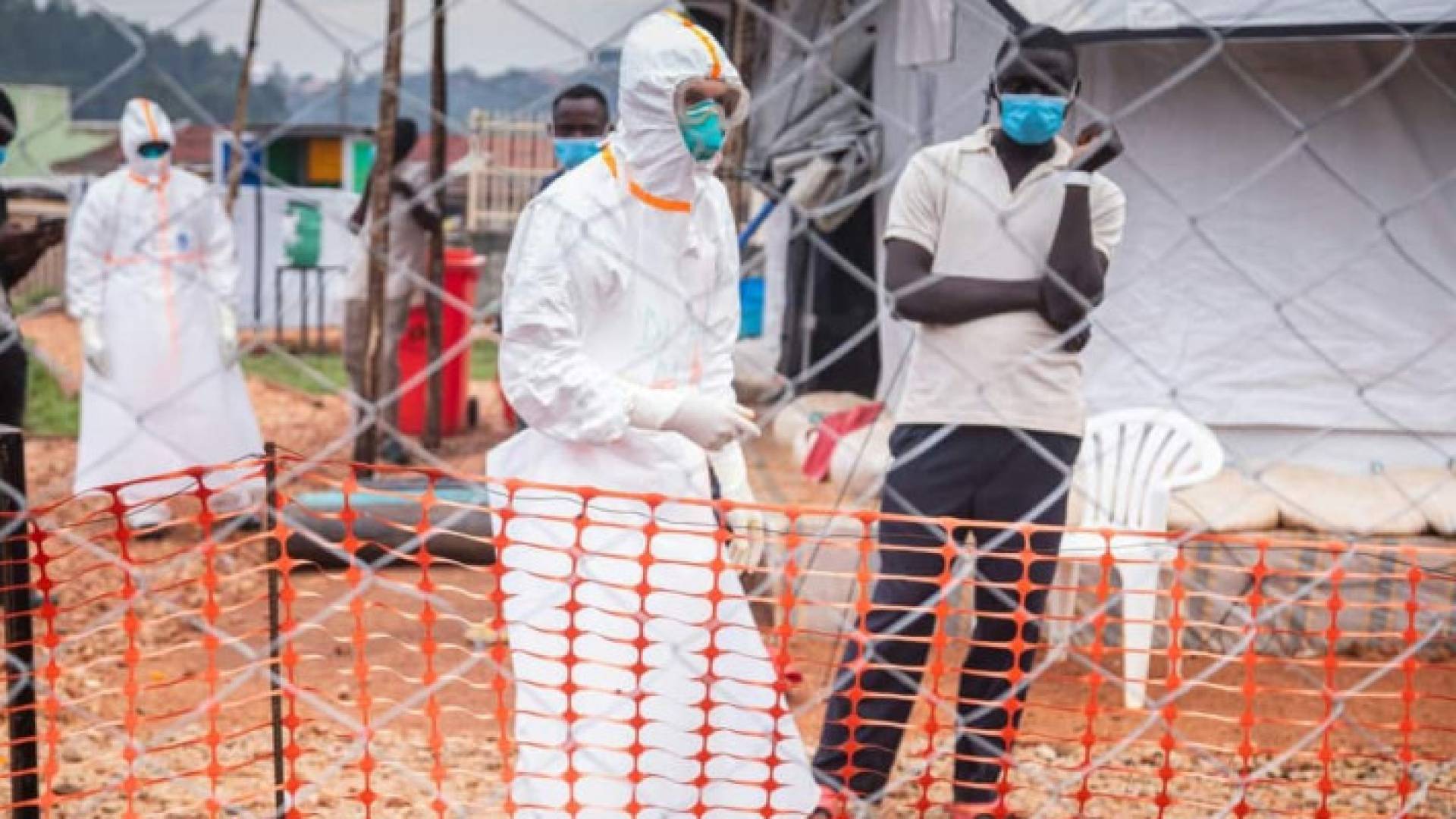 Image 1 from gallery