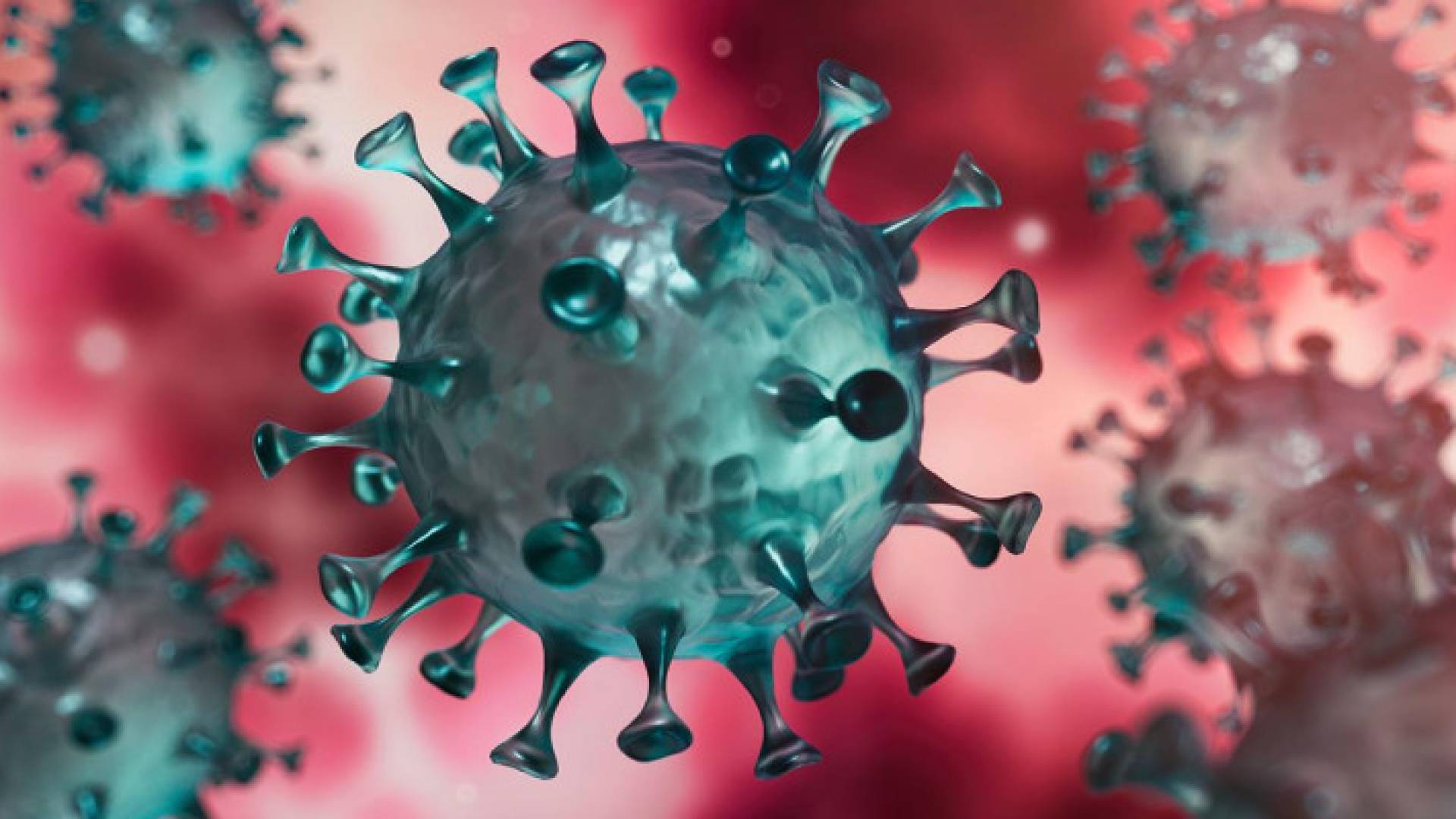 Image 1 from gallery