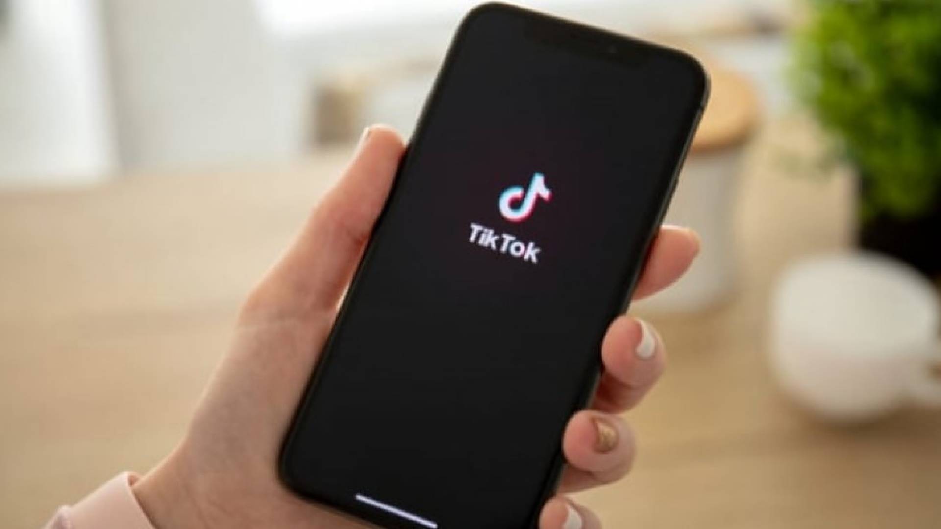 Image 1 from gallery