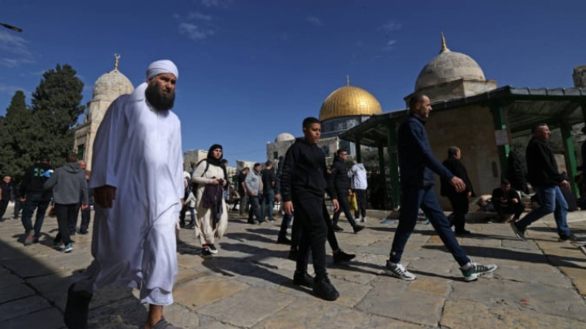 Image 1 from gallery