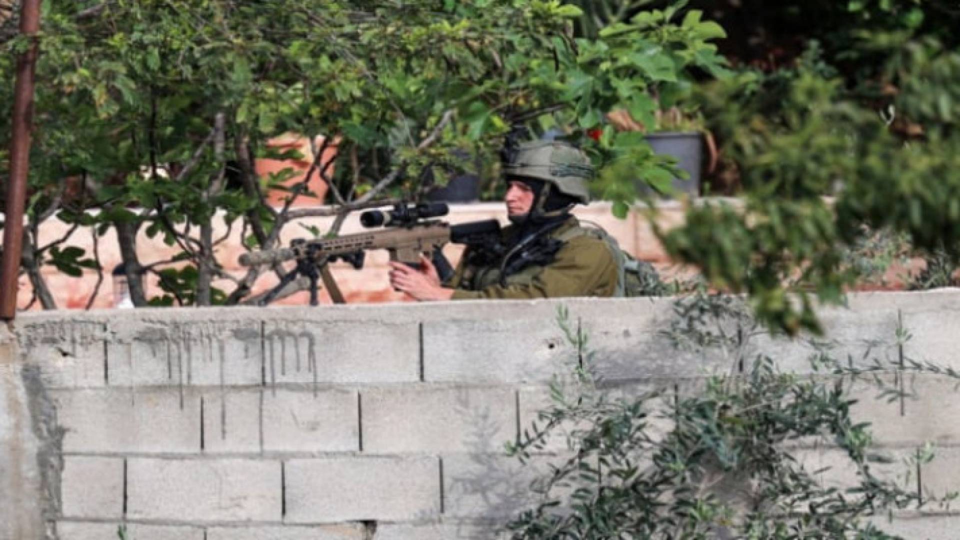 Image 1 from gallery