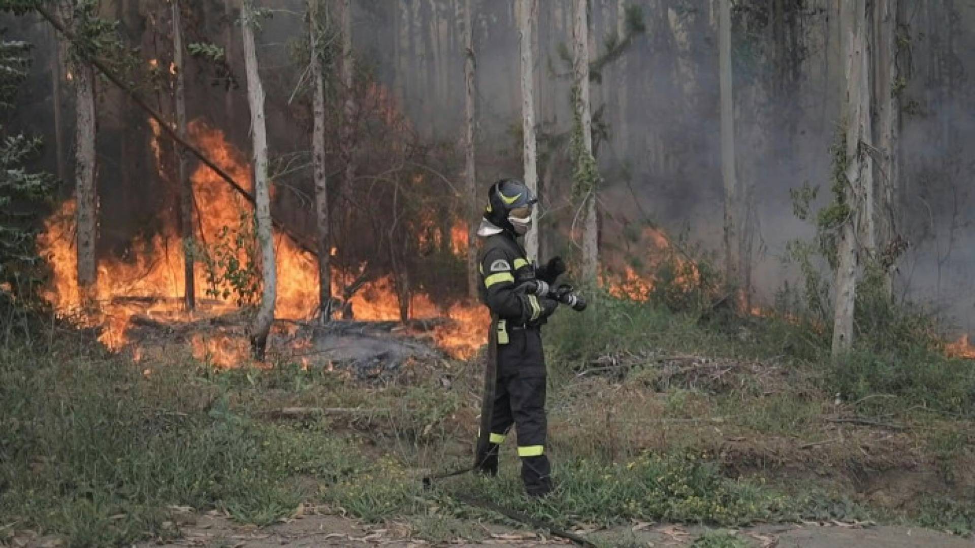 Image 1 from gallery