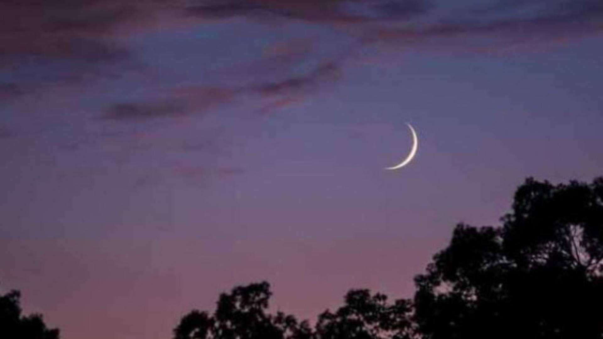 Image 1 from gallery