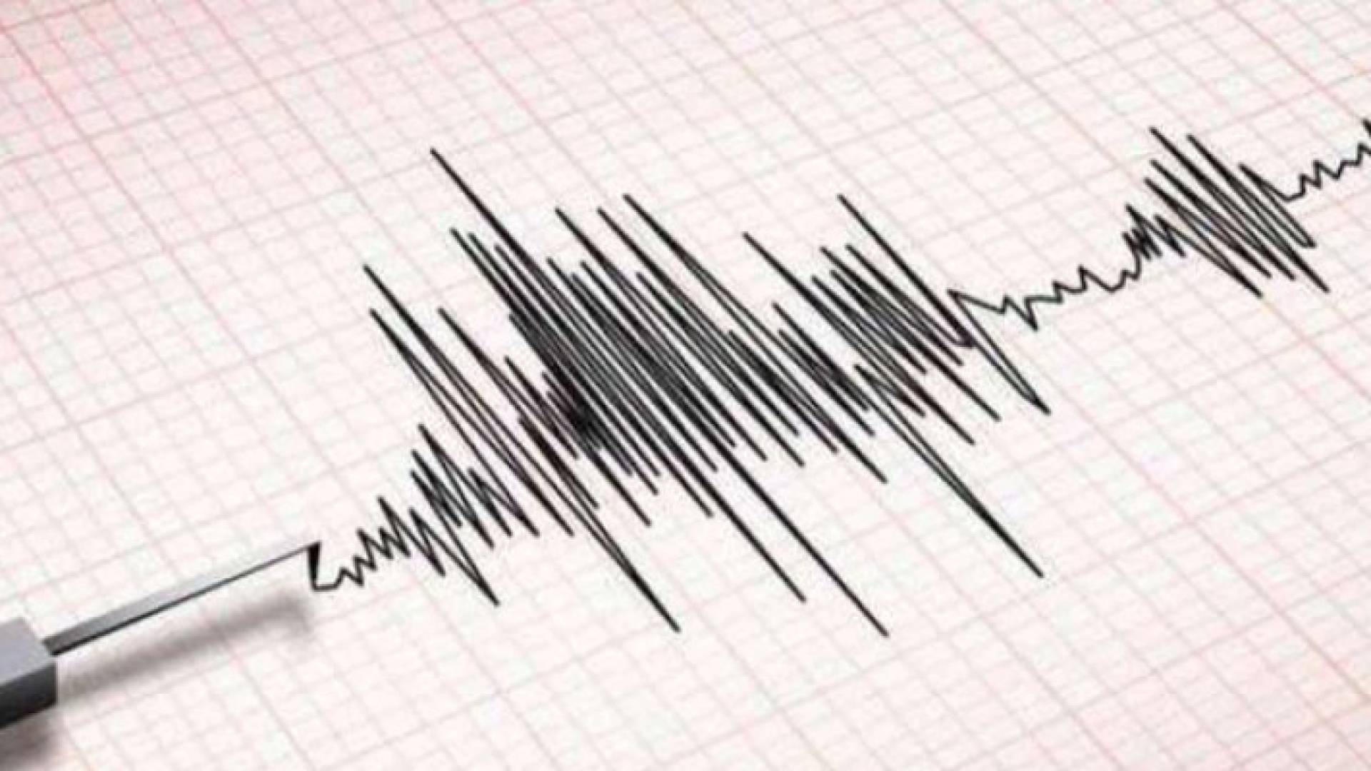 Image 1 from gallery