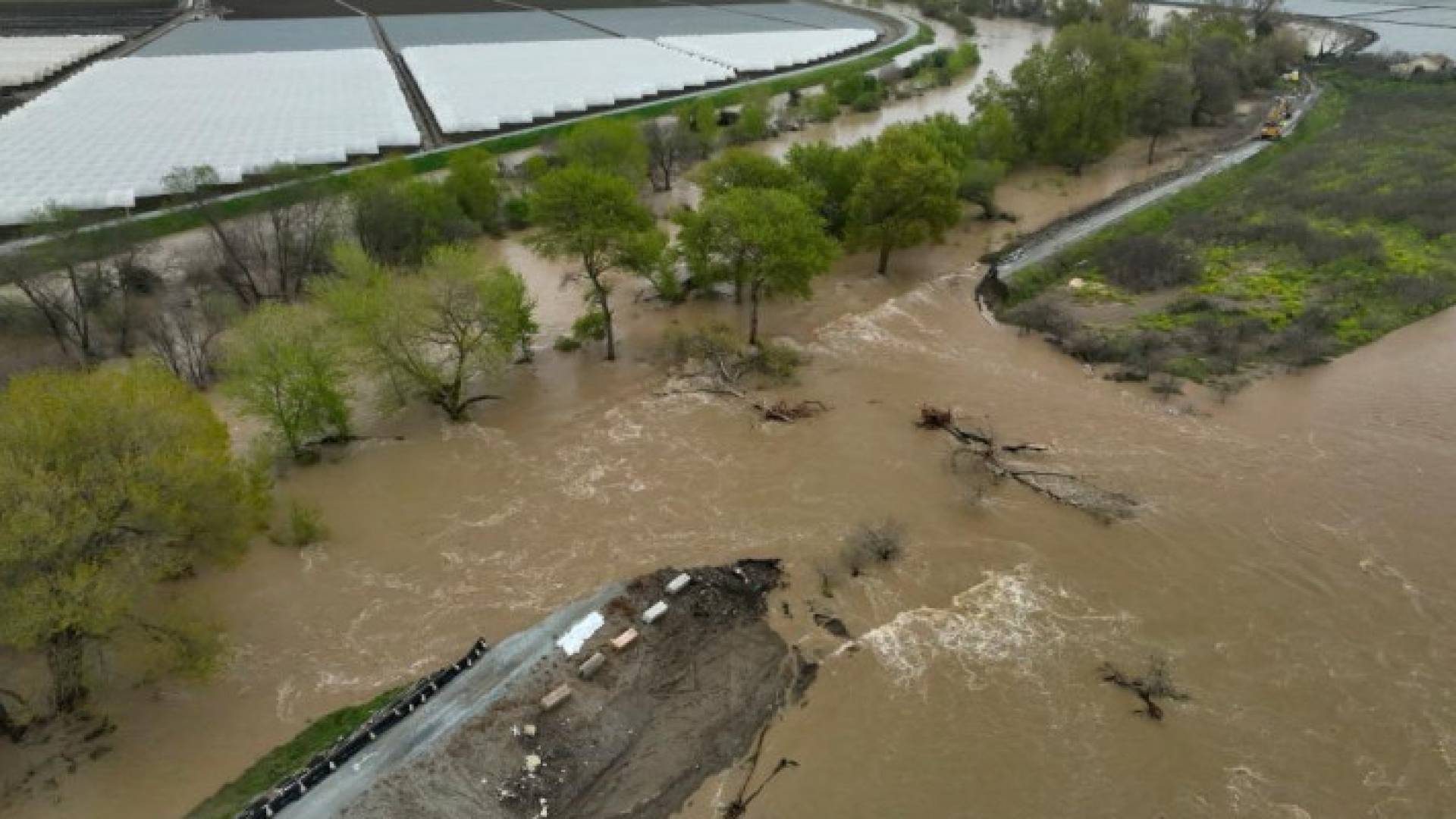 Image 1 from gallery