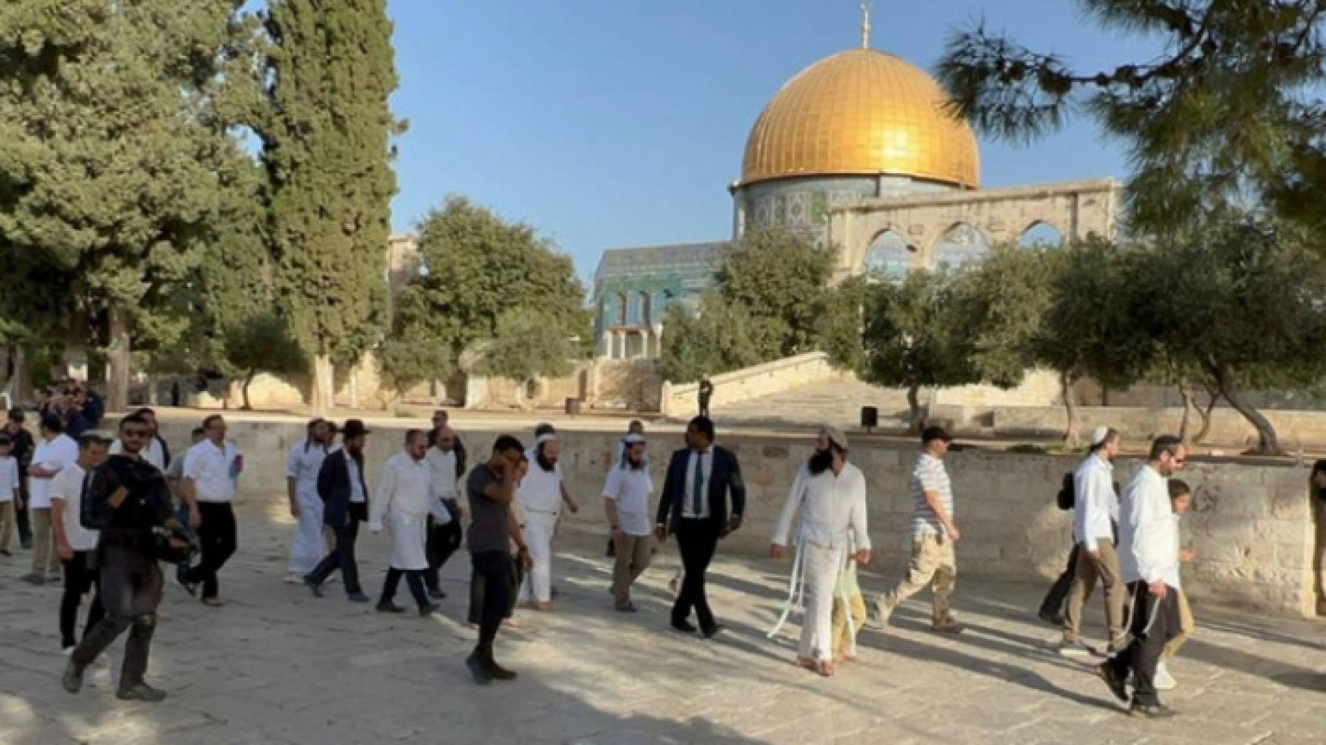 Image 1 from gallery