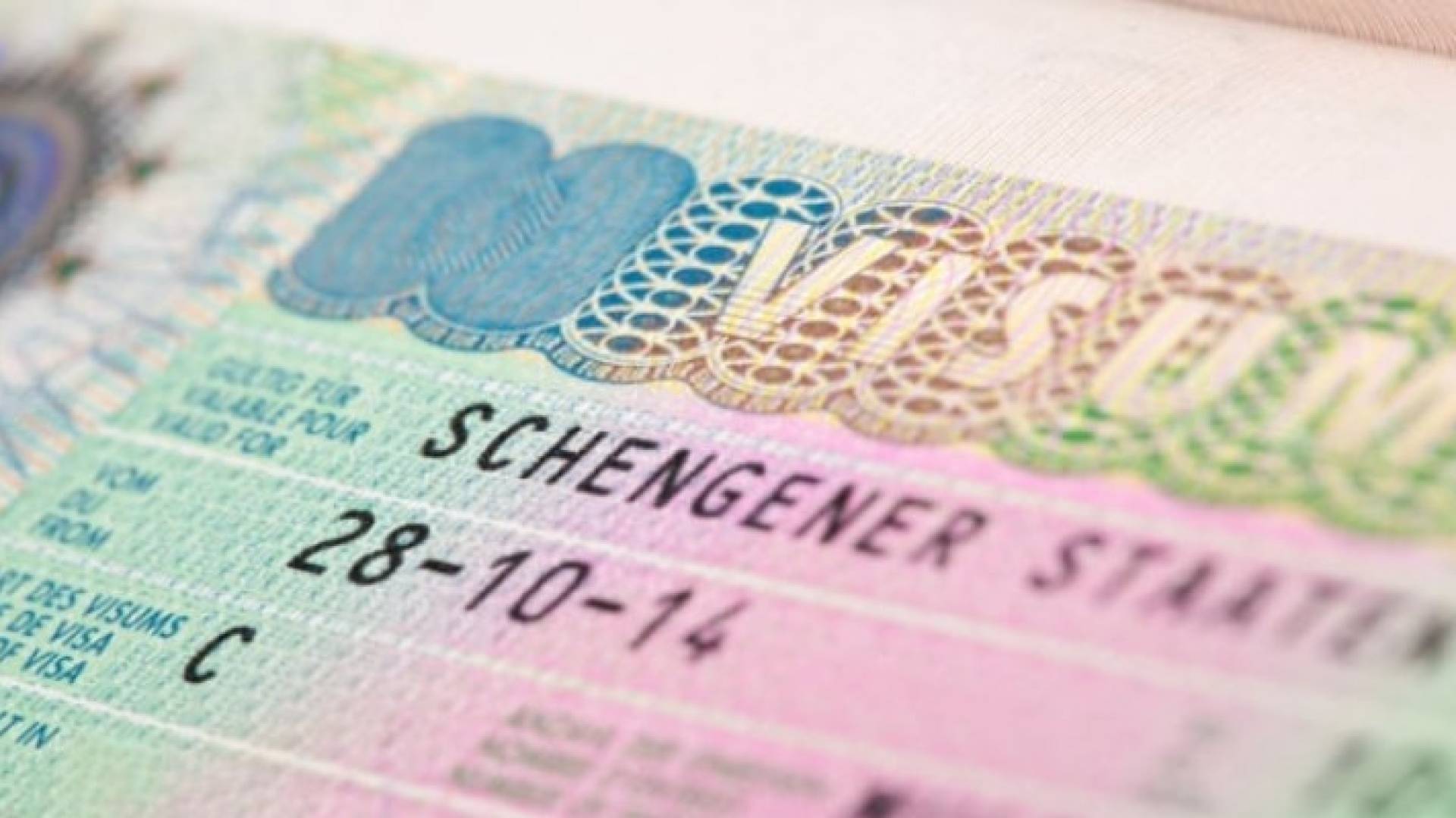 Image 1 from gallery