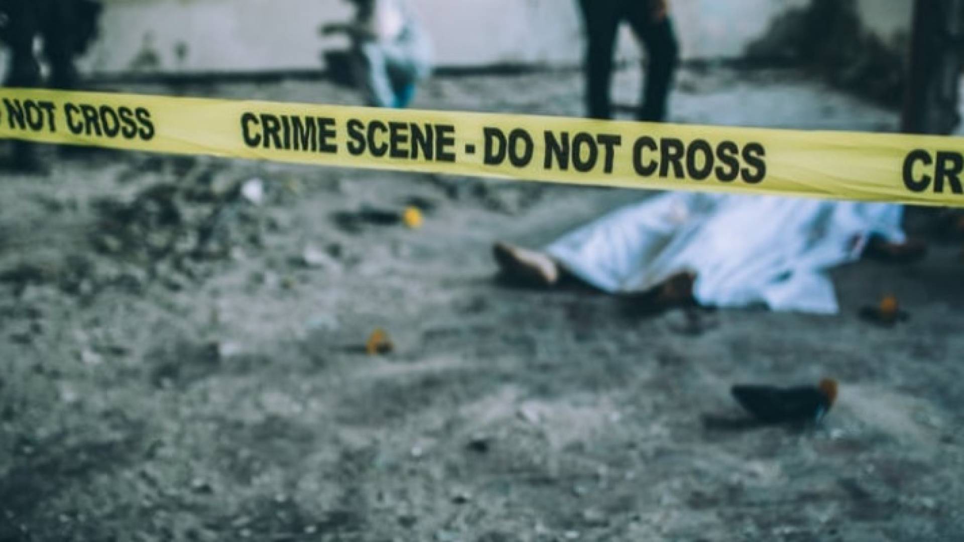 Image 1 from gallery