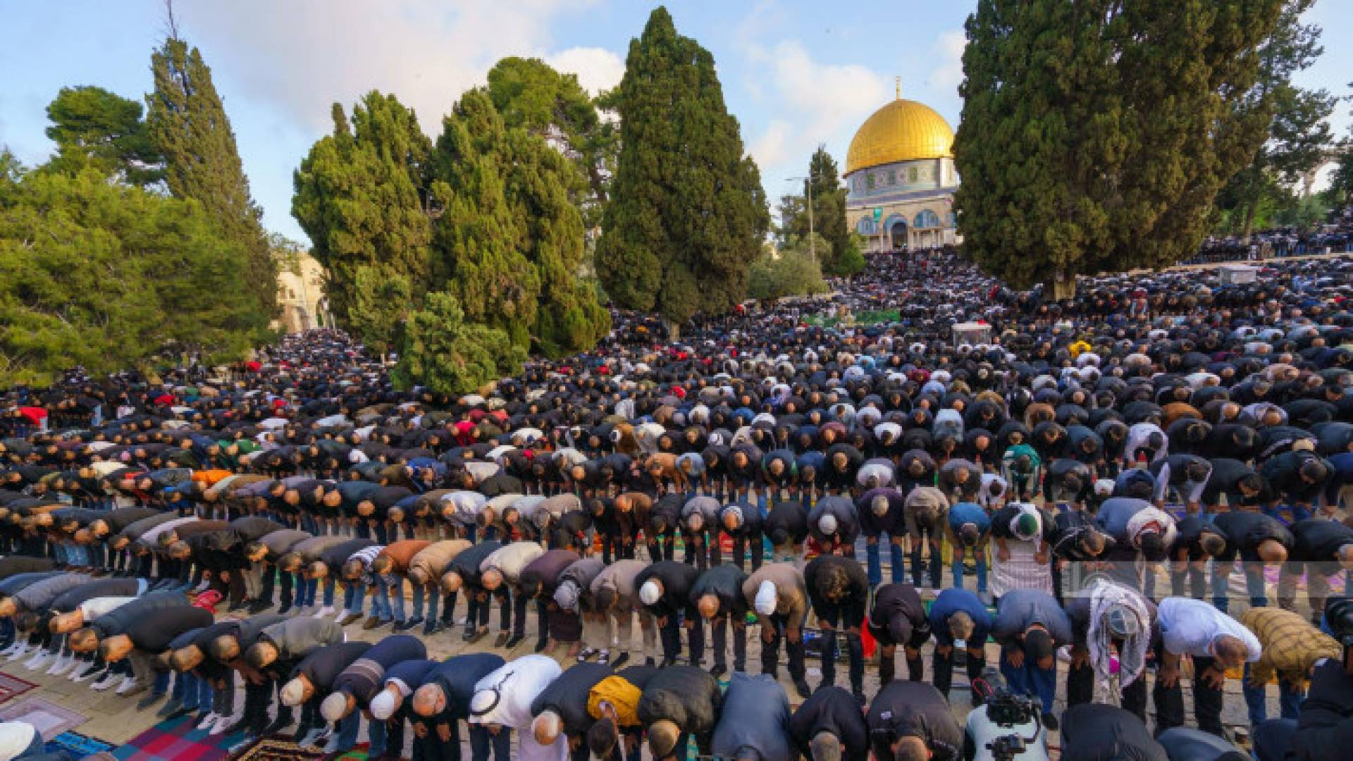 Image 1 from gallery