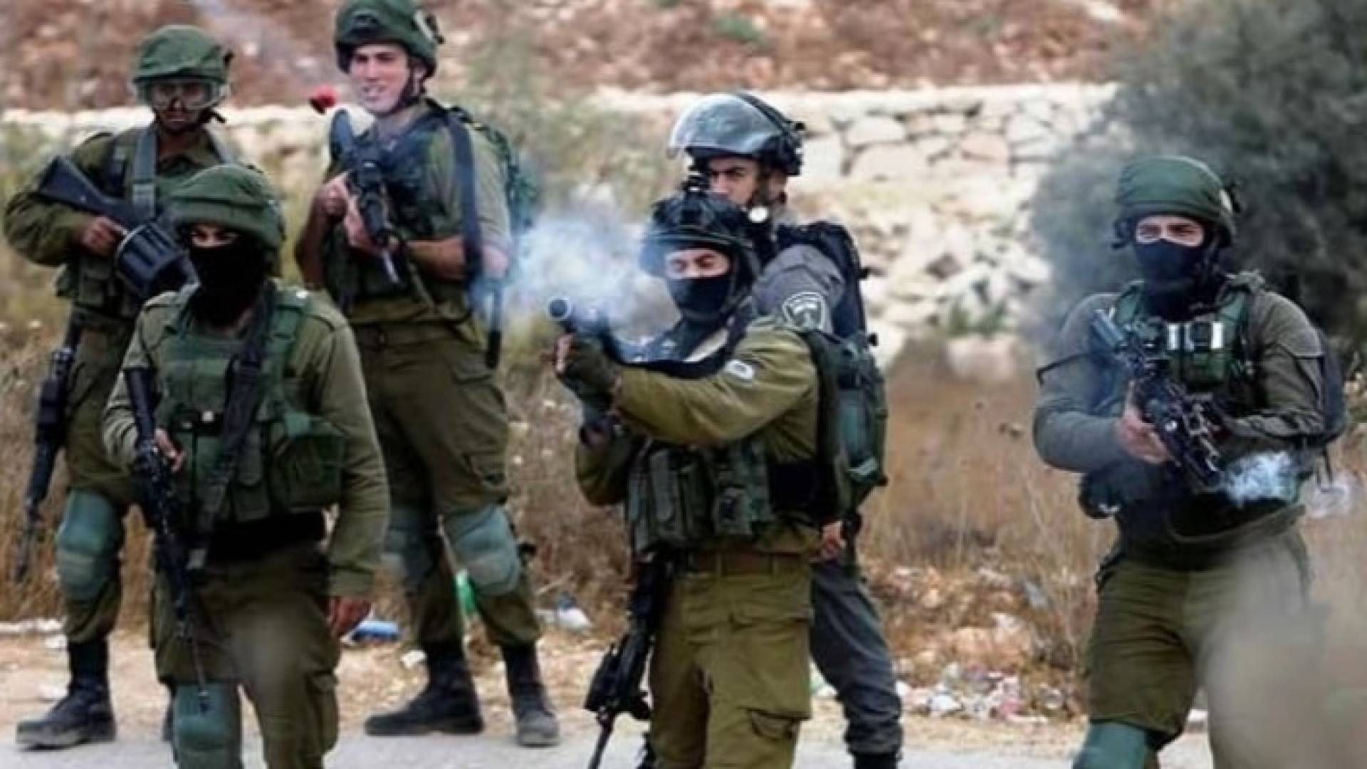 Image 1 from gallery