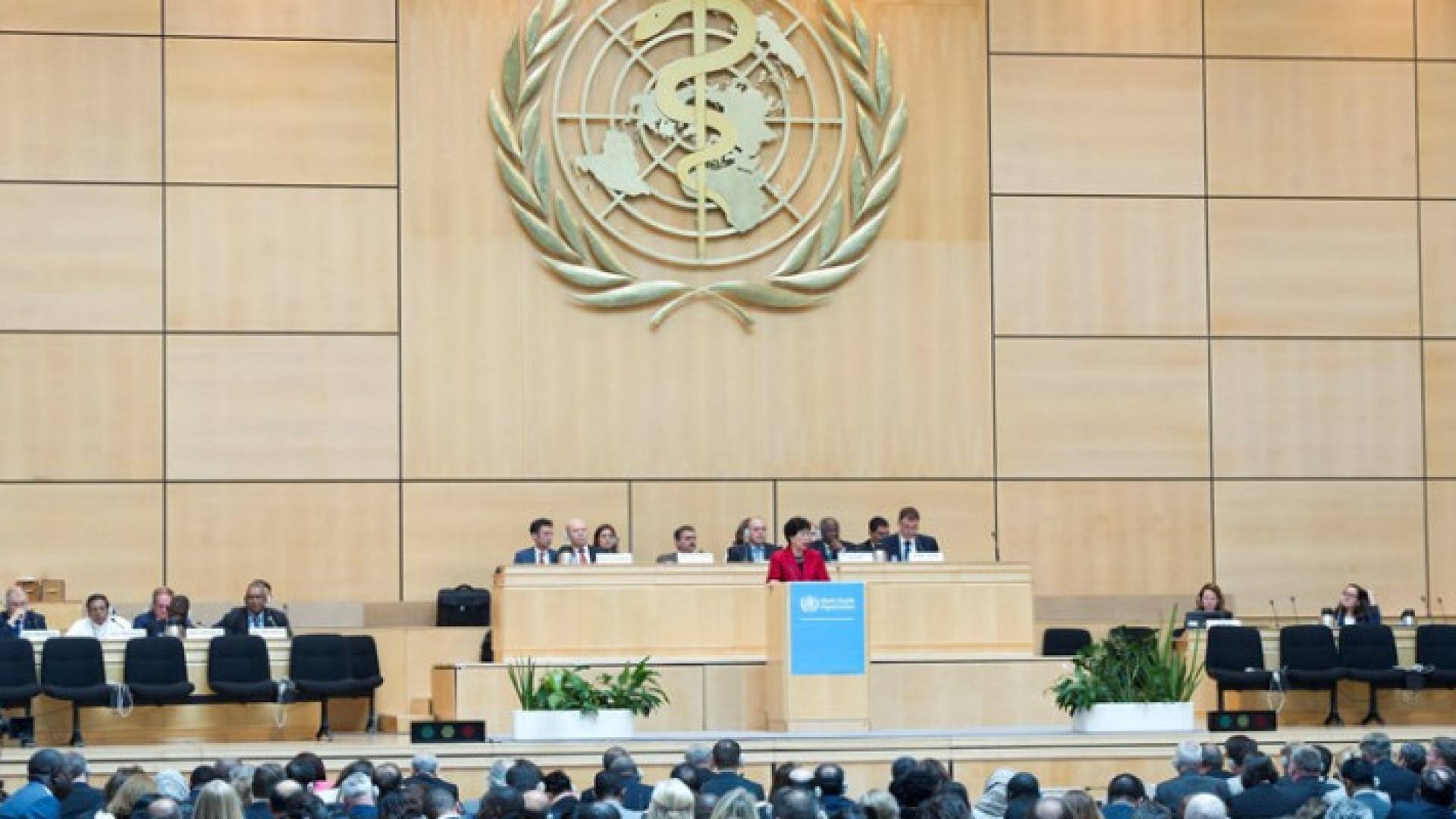 Image 1 from gallery