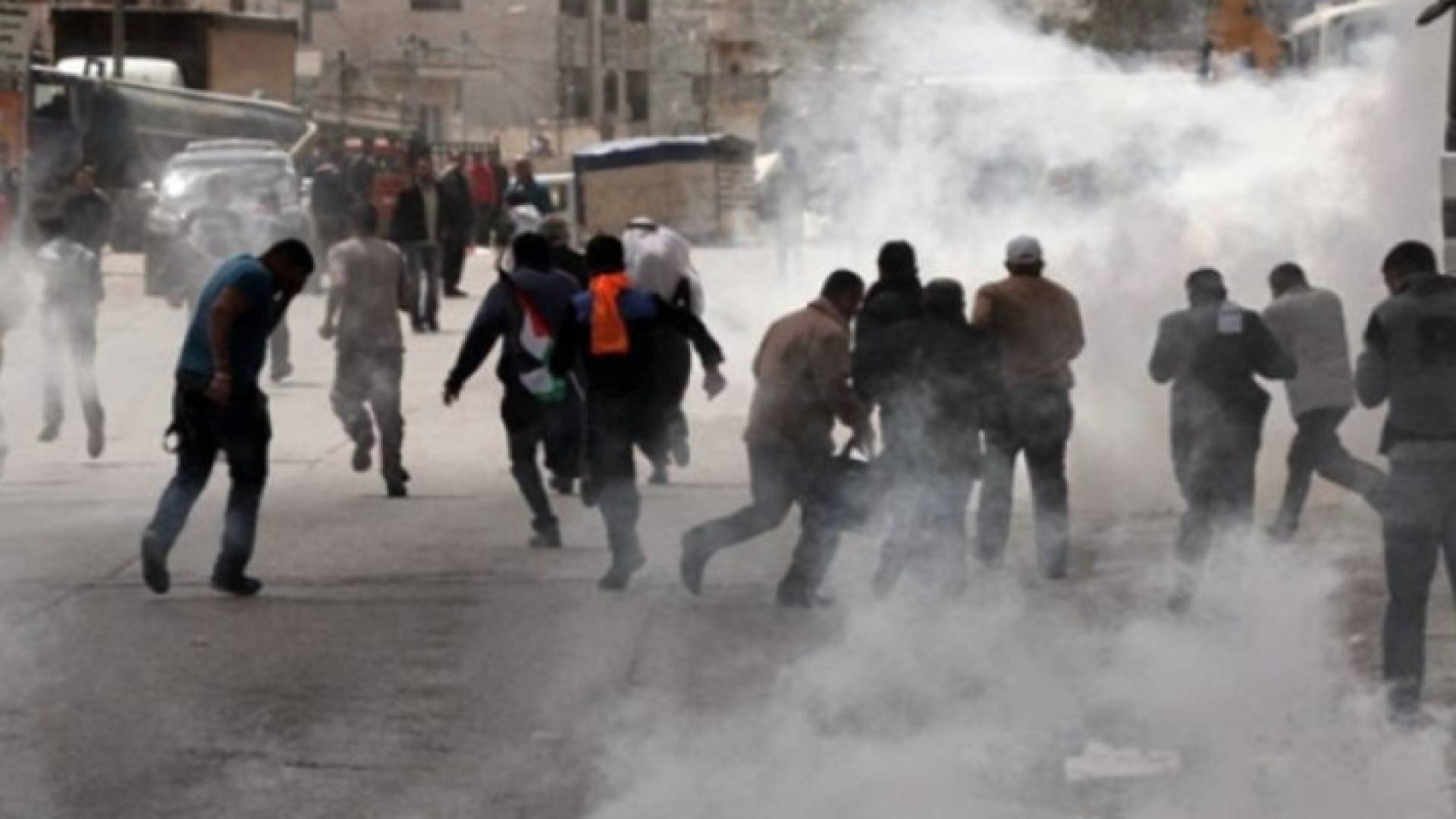 Image 1 from gallery