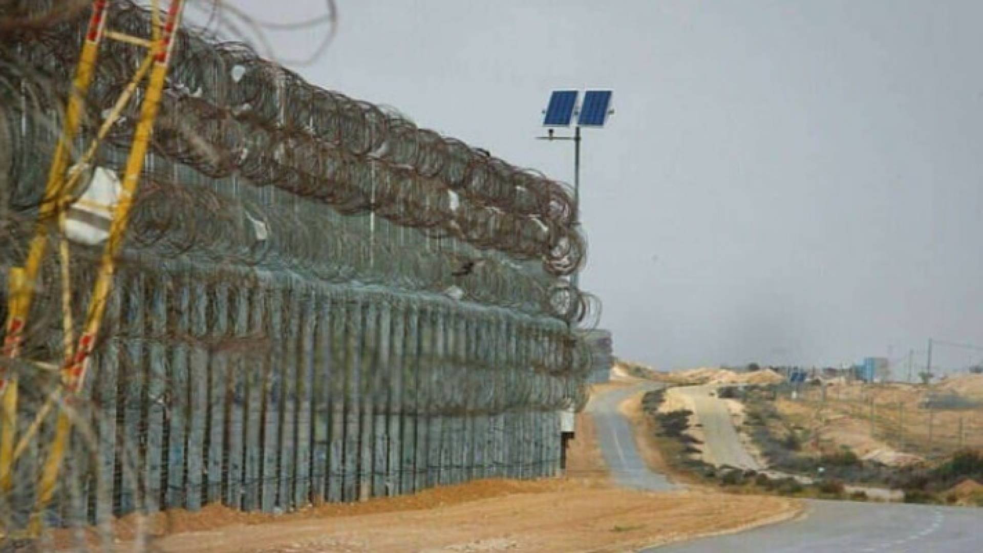 Image 1 from gallery