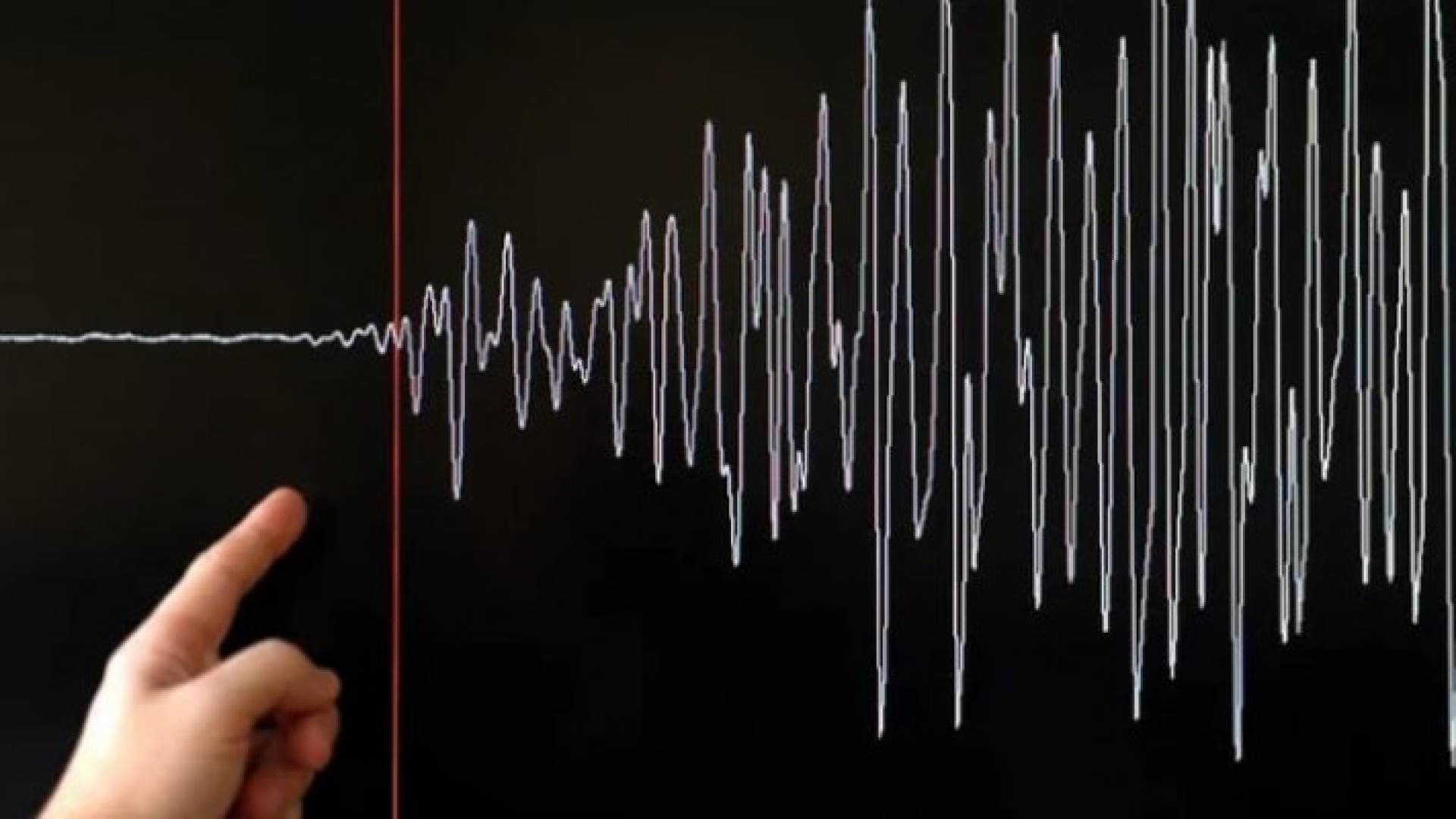 Image 1 from gallery