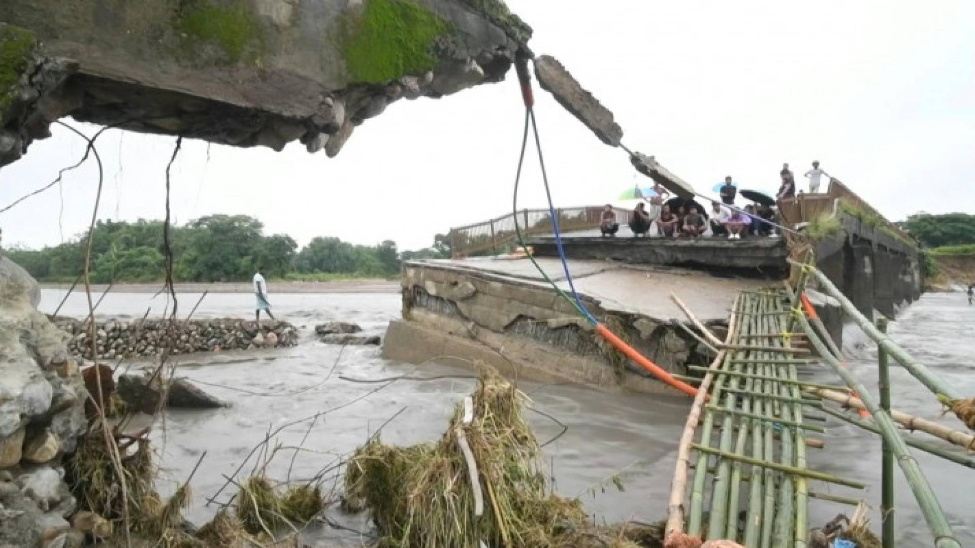 Image 1 from gallery