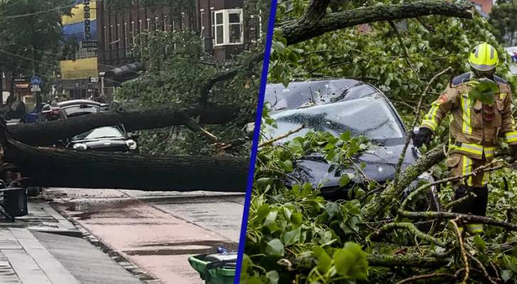 Roya News | One Killed In Netherlands Summer Storm