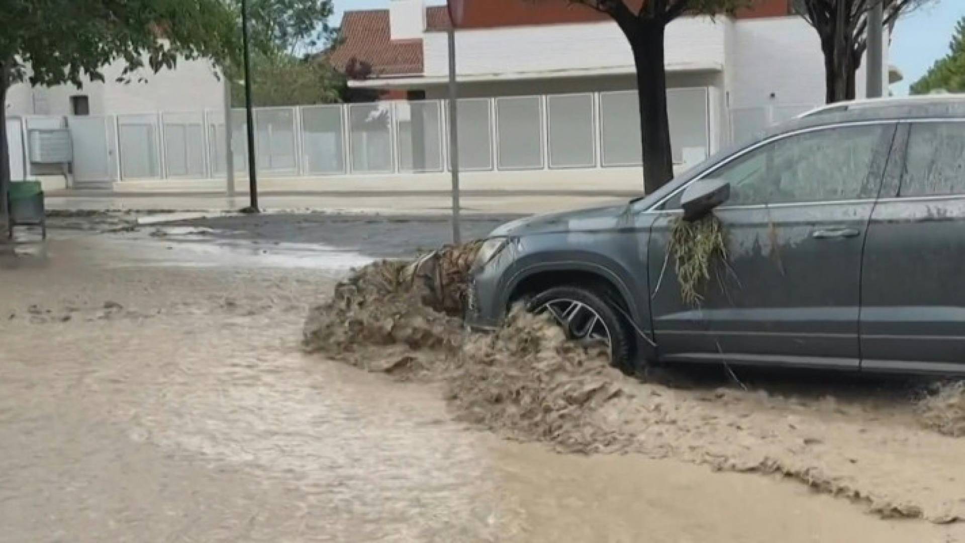 Image 1 from gallery