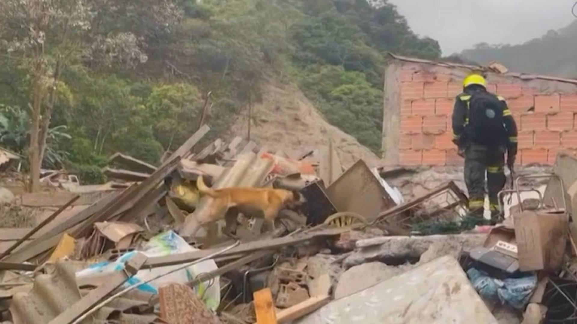 Image 1 from gallery