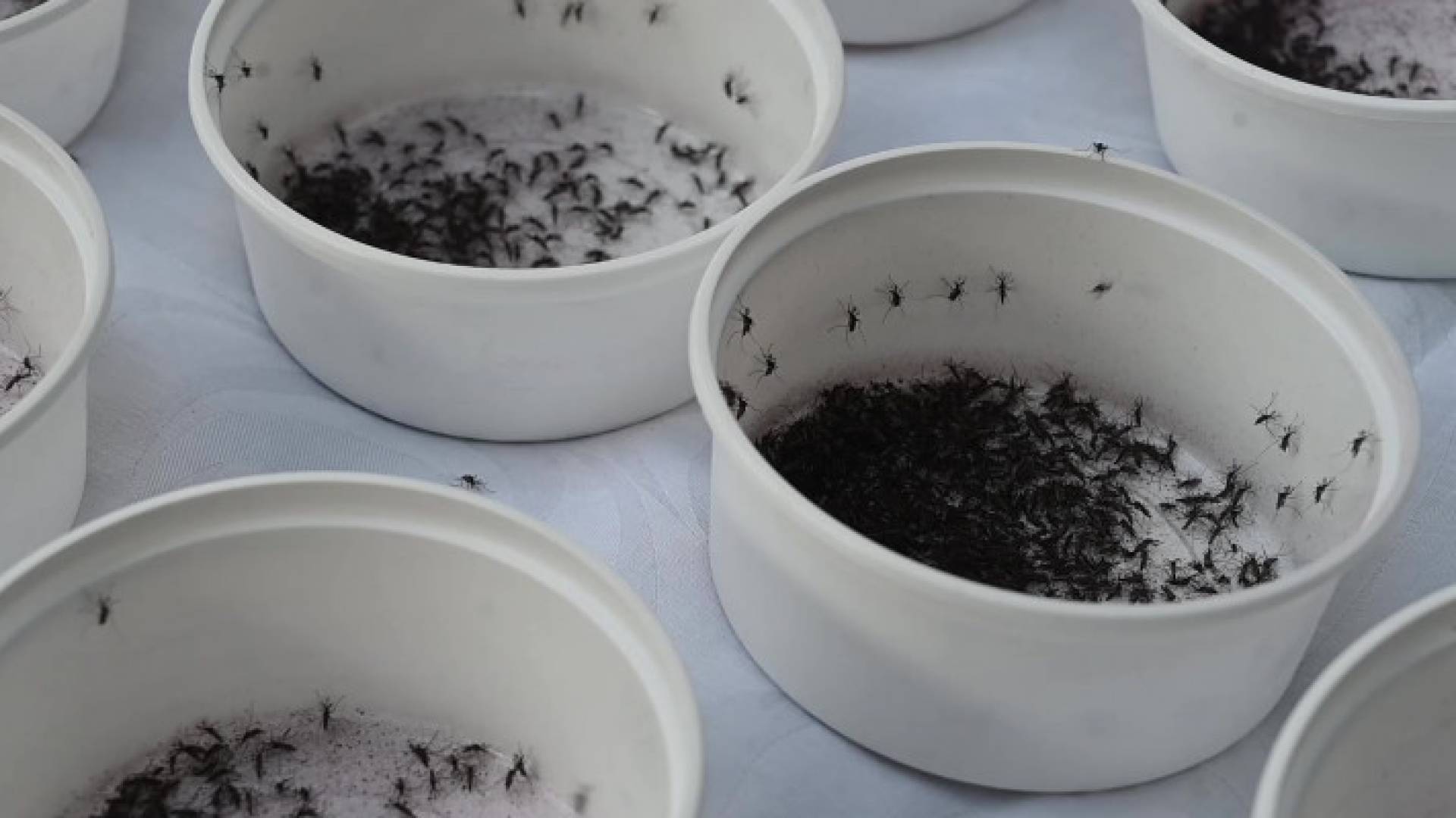 Image 1 from gallery